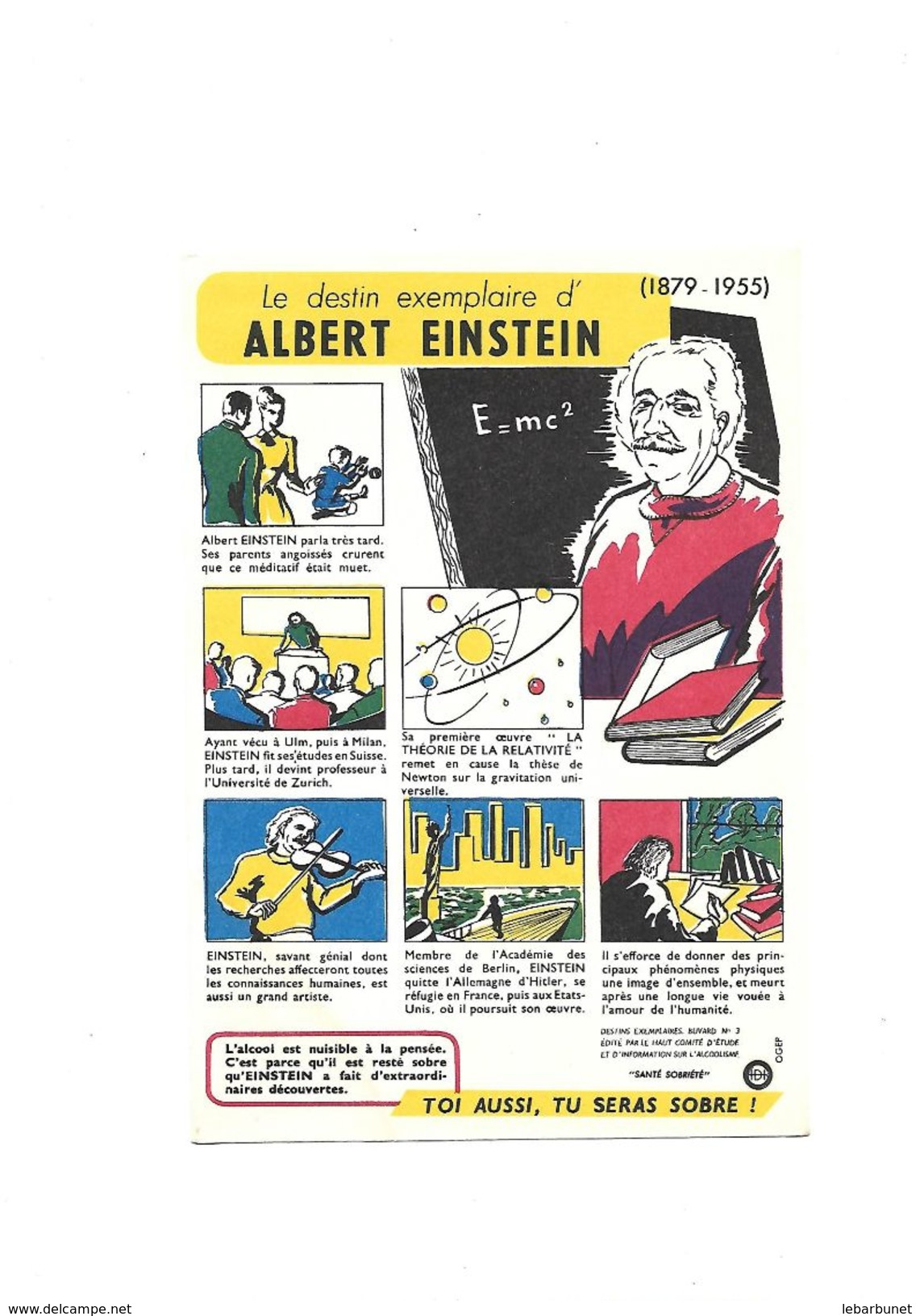 Buvard J Albert Einstein Le Destin Exemplaire - A