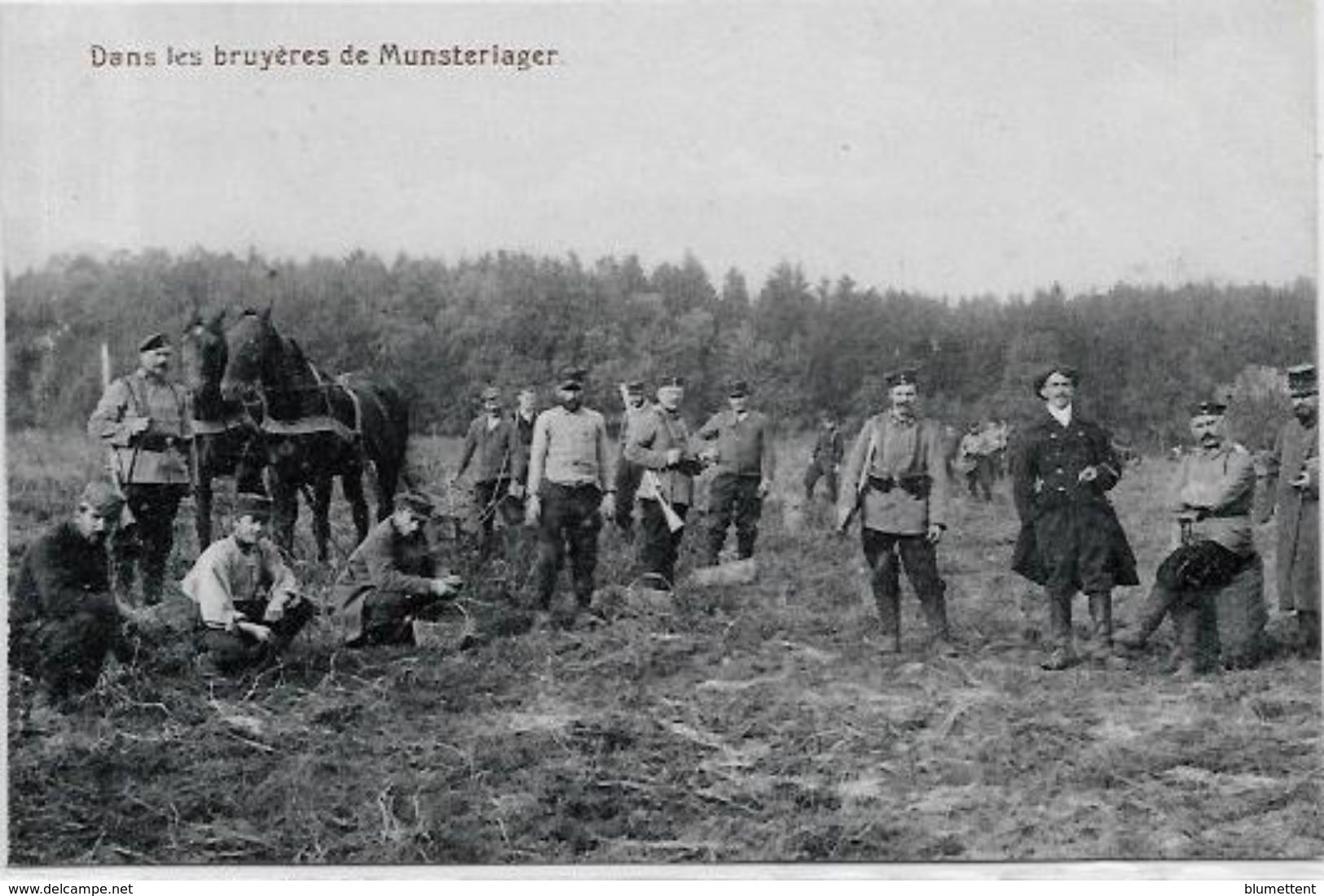 CPA Allemagne Germany Militaires Militaria MUNSTERLAGER Camp De Prisonniers Belgique France Angleterre - Other & Unclassified