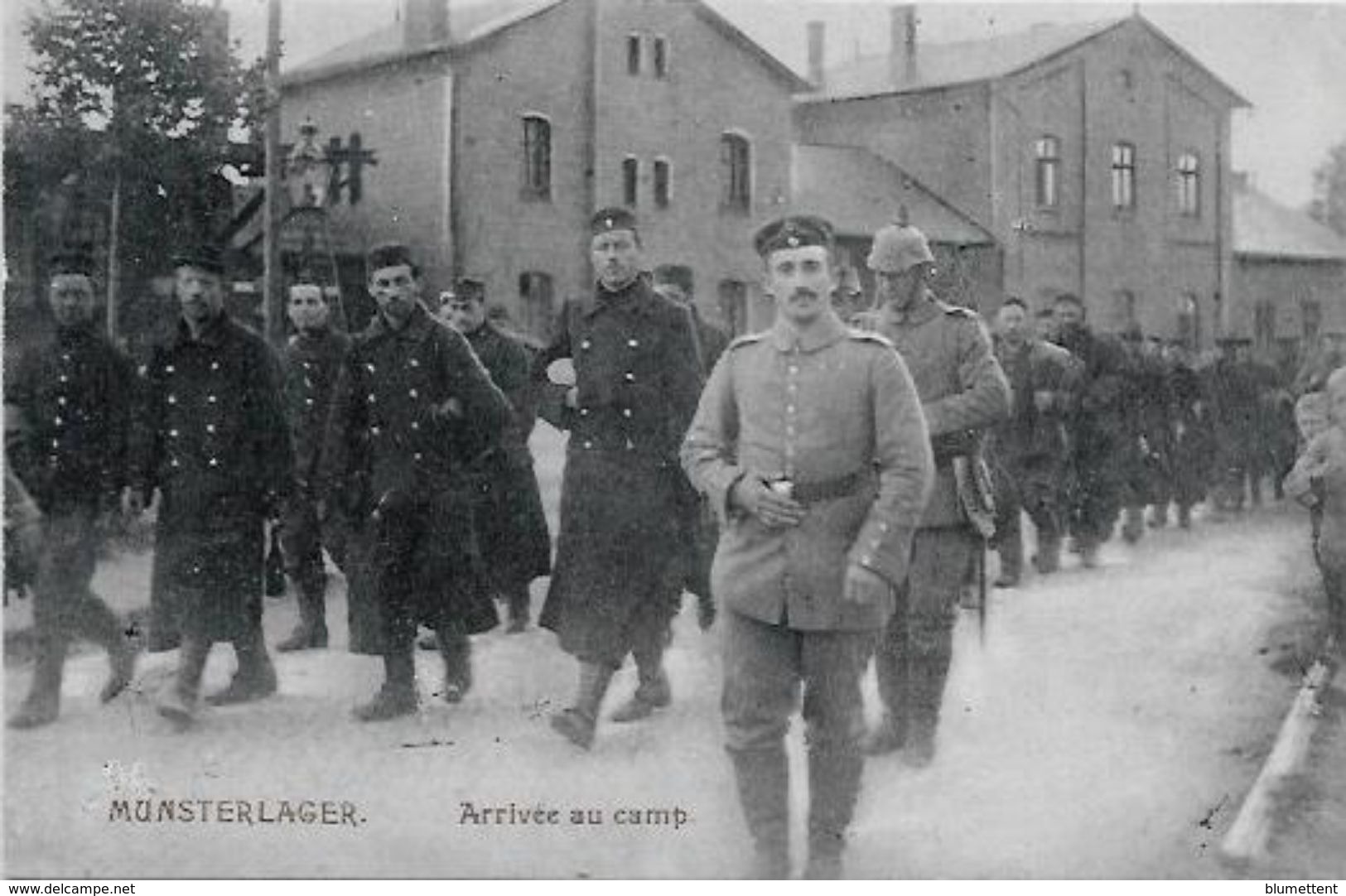 CPA Allemagne Germany Militaires Militaria MUNSTERLAGER Camp De Prisonniers Belgique France Angleterre - Otros & Sin Clasificación