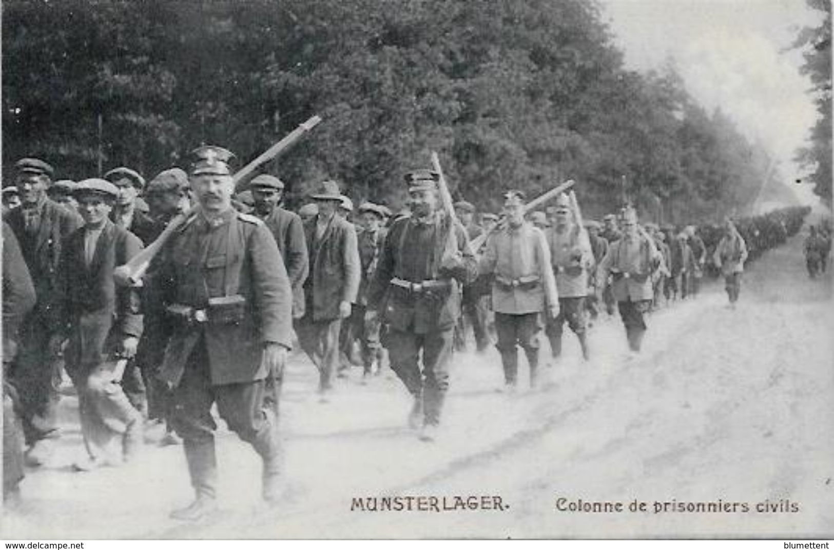 CPA Allemagne Germany Militaires Militaria MUNSTERLAGER Camp De Prisonniers Belgique France Angleterre - Other & Unclassified