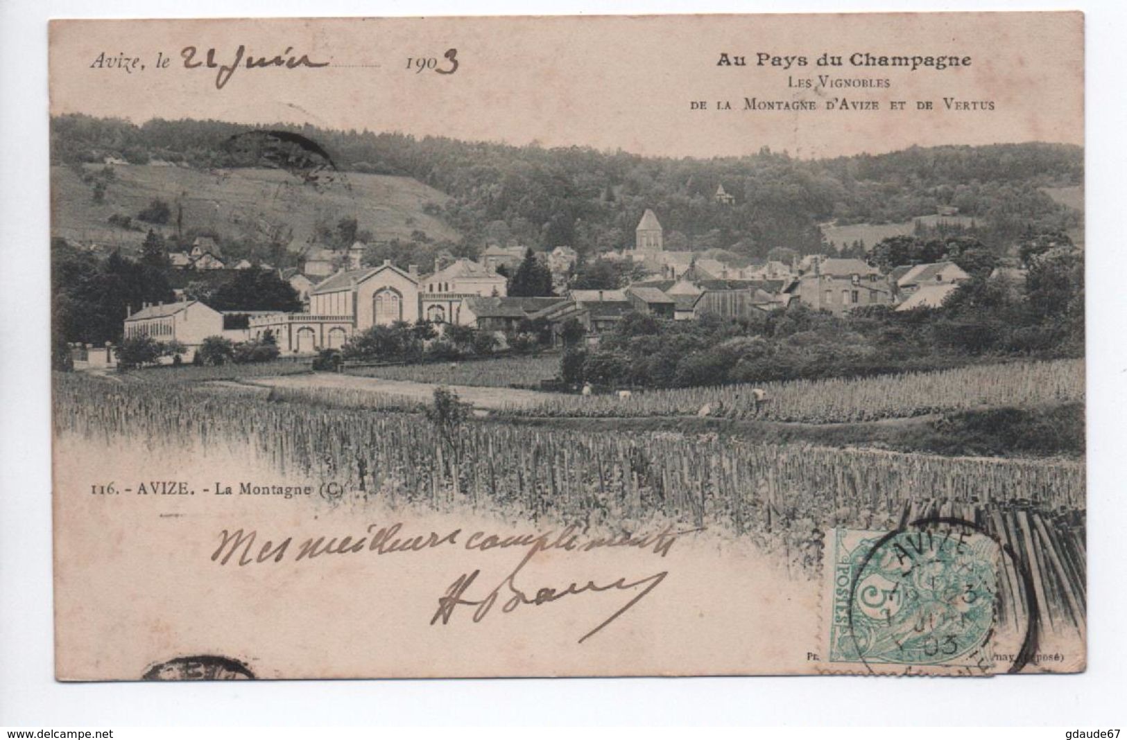 AVIZE (51) - LA MONTAGNE - AU PAYS DU CHAMAPGNE - LES VIGNOBLES DE LA MONTAGNE D'AVIZE ET DE VERTUS - Autres & Non Classés