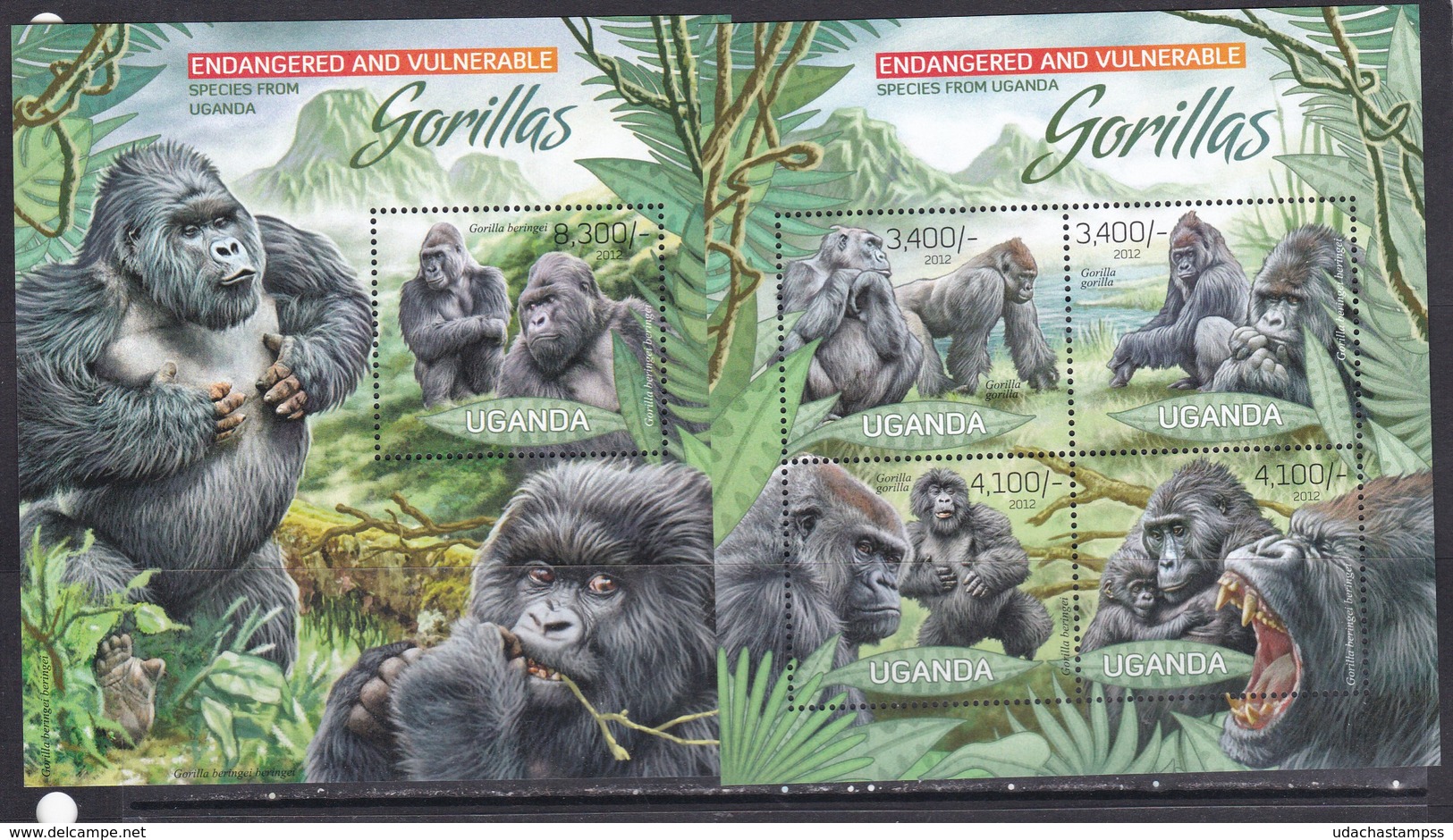 Uganda 2012 Fauna Gorillas Monkeys Klb+s/s MNH - Gorilles