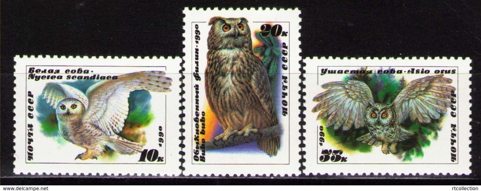 USSR Russia 1990 Owls Birds Animals Animal Fauna Owl Bird Nature Stamps MNH Michel 6063-6065 SG 6117-6119 Sc 5871-5873 - Owls