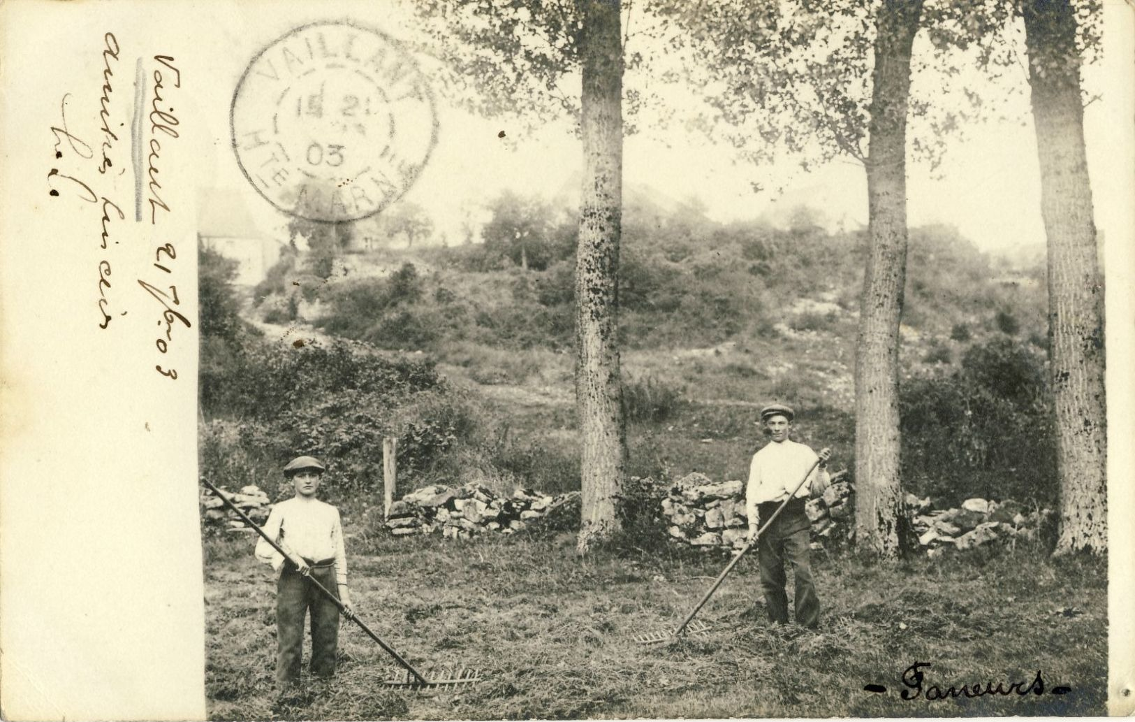 CARTE  PHOTO : VAILLANT  LES  FANEURS - Autres & Non Classés