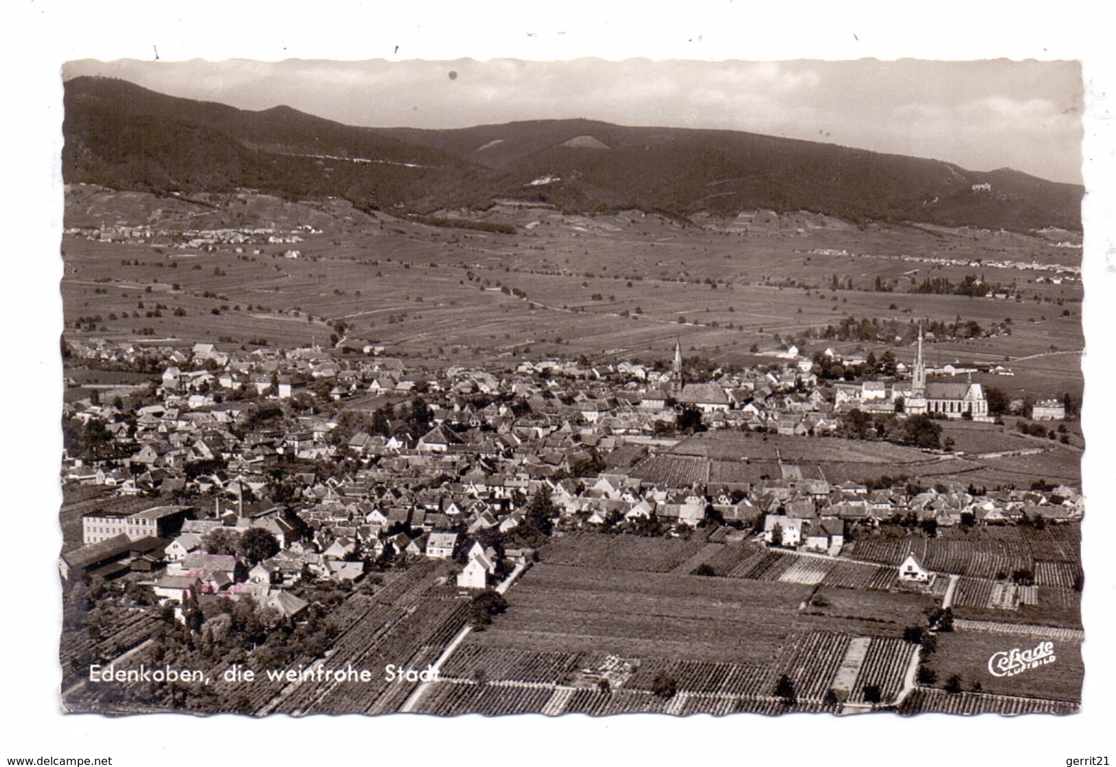 6732 EDENKOBEN, Luftaufnahme 1964 - Edenkoben