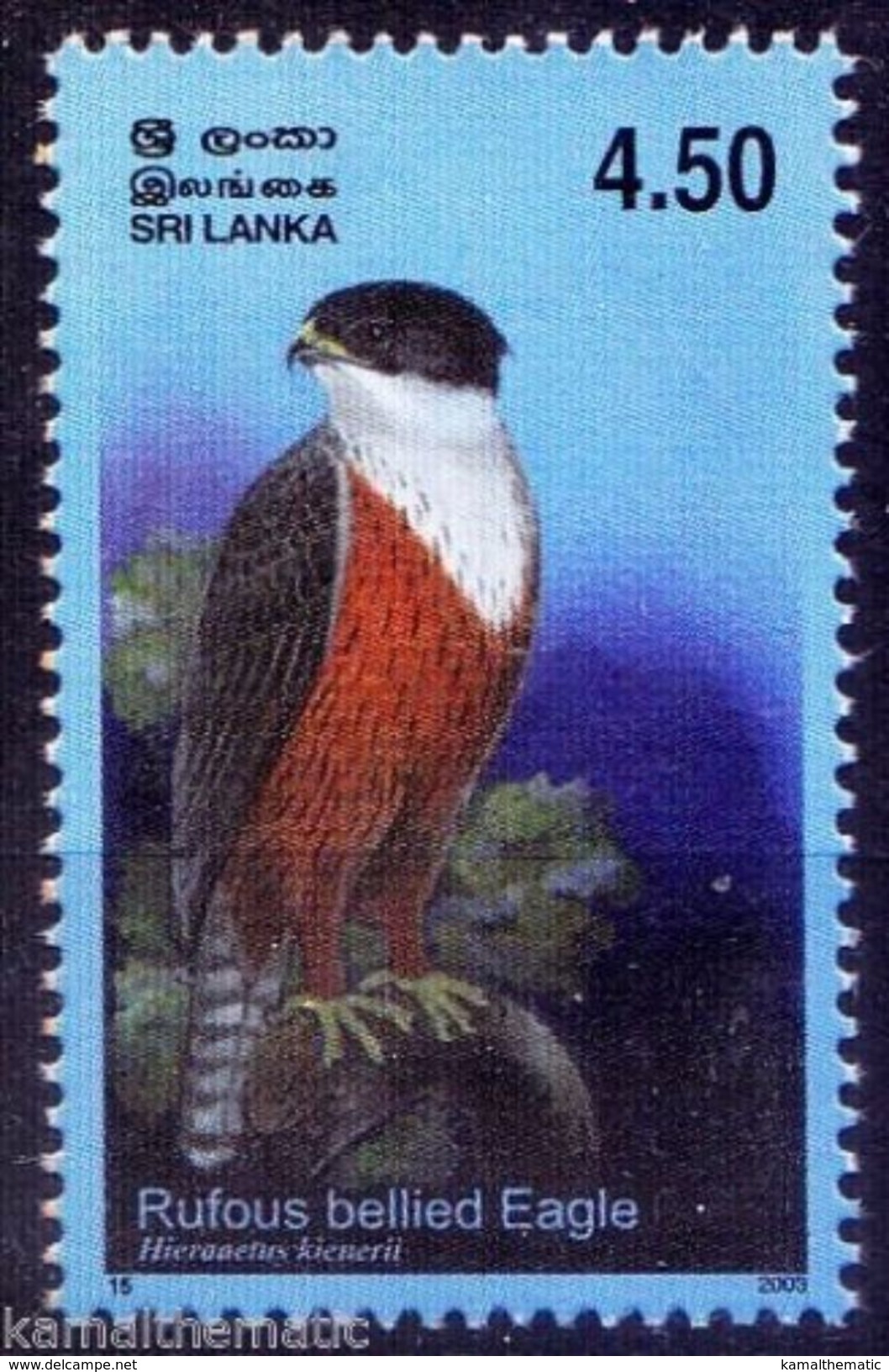 Rufous Bellied Eagle, Birds Of Prey, Sri Lanka MNH - Aquile & Rapaci Diurni