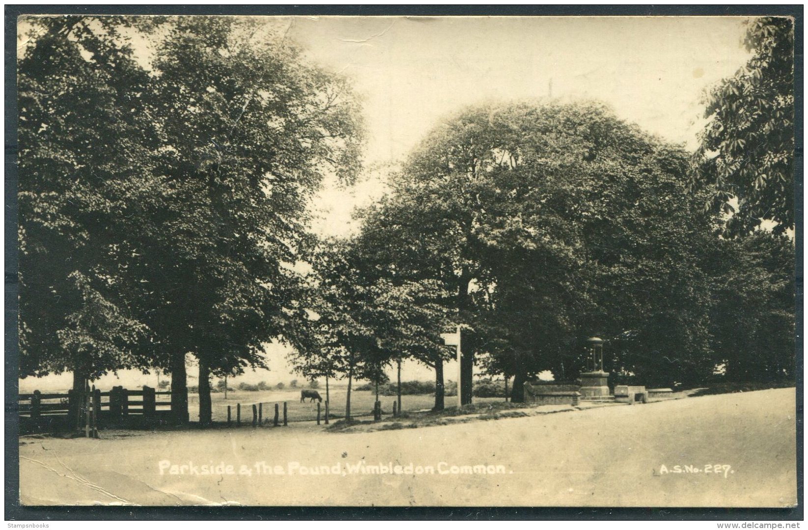 Parkside And The Pond, Wimbledon Common RP Postcard - Surrey