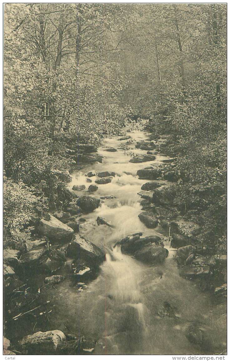 Environs De VRESSE - Vue Du Ruisseau Du Petit Fays (La Cascadelle) - Vresse-sur-Semois