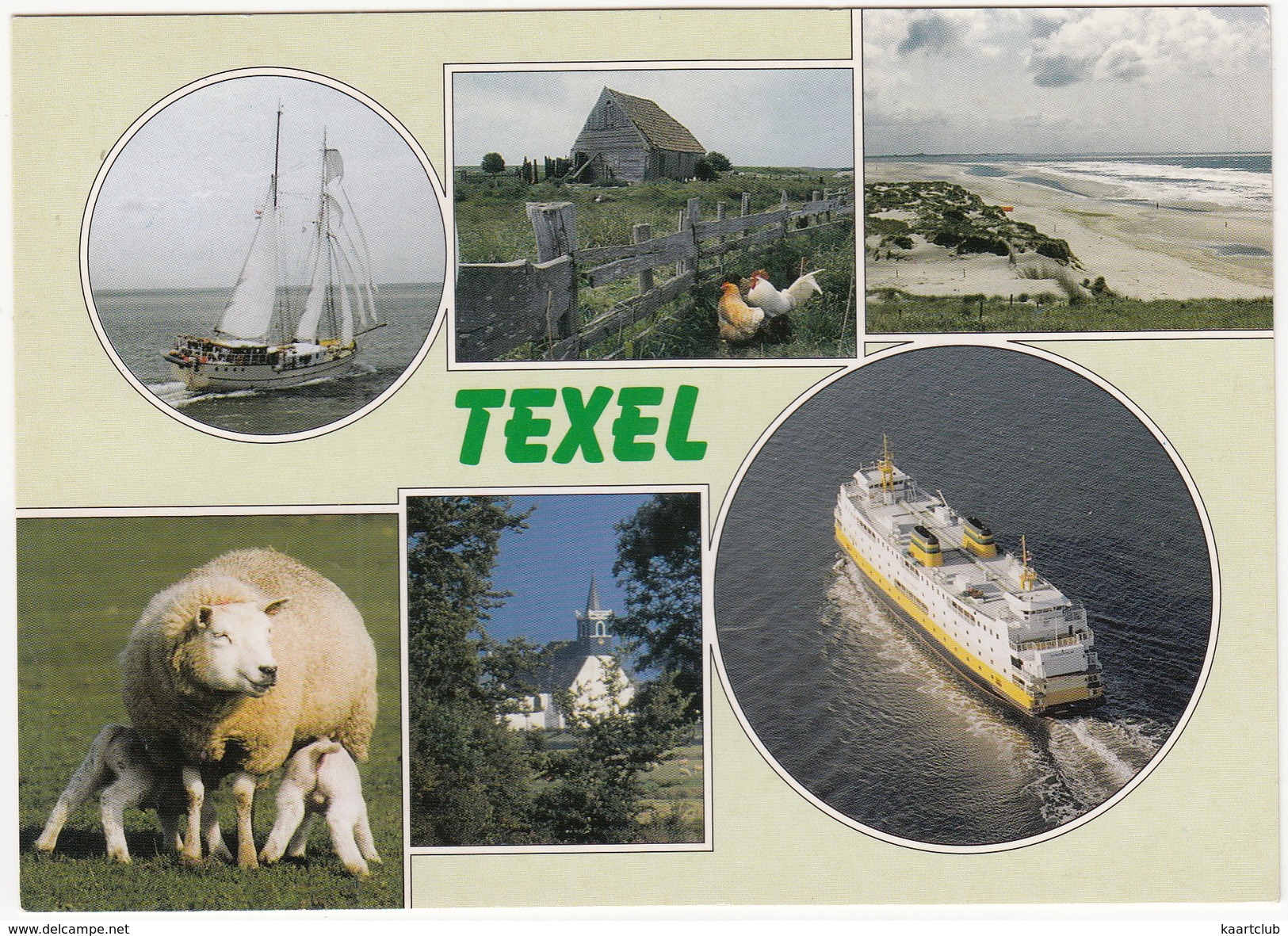 Texel - Multiview - Veerboot/Ferry  - (Nederland/Holland) - Texel