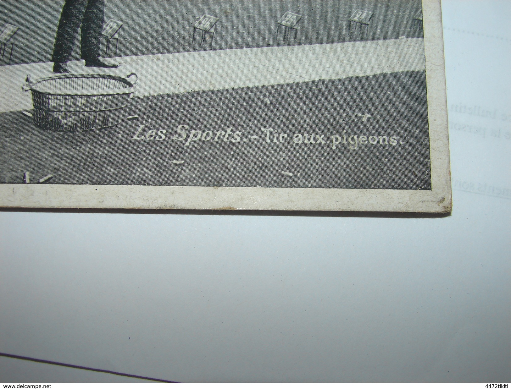 C.P.A. - Les Sports - Tir Aux Pigeons - Dos : Pub. Chicorée A La Belle Jardinière - 1910 - TTB (J78) - Tir (Armes)