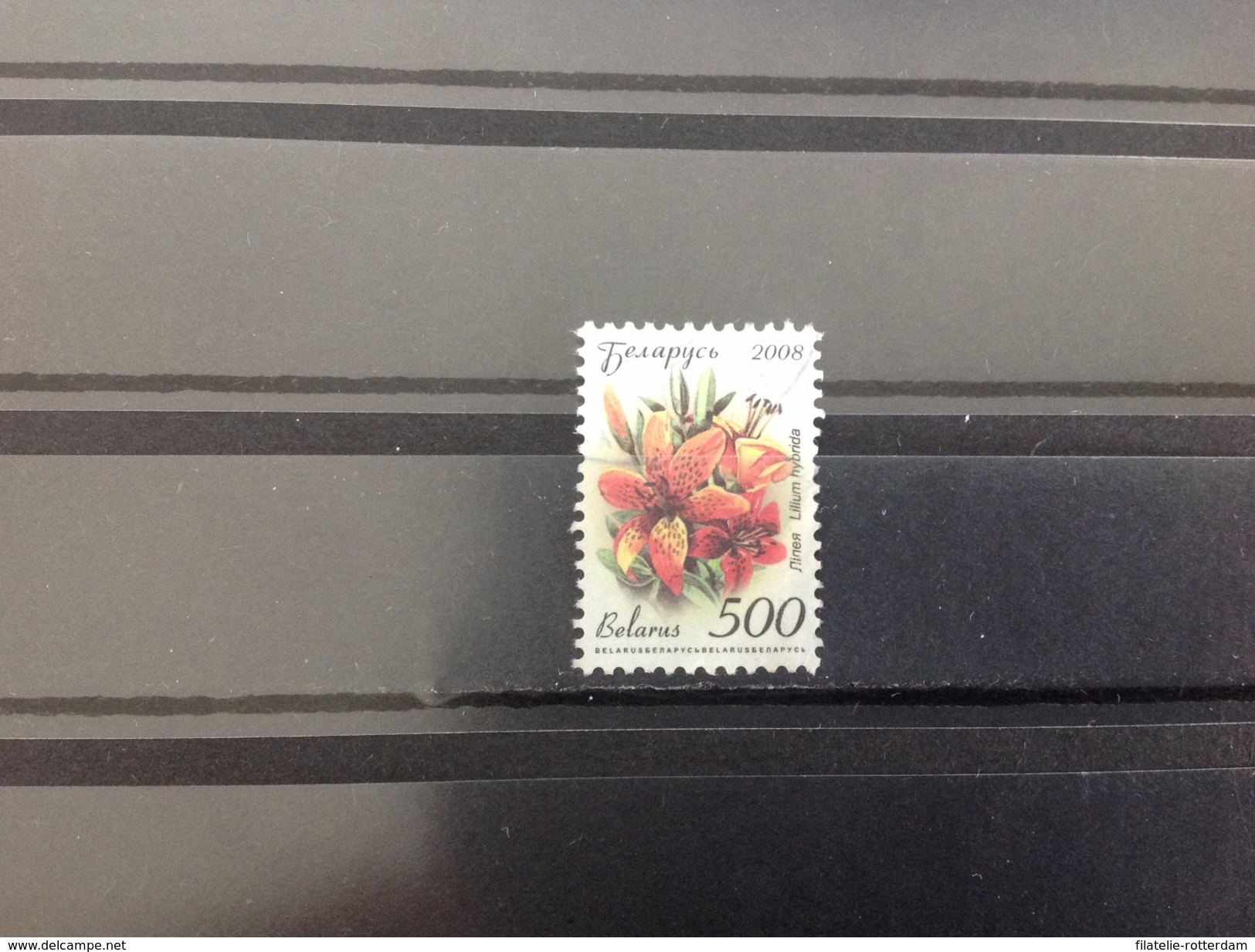 Wit-Rusland / Belarus - Bloemen (500) 2008 - Wit-Rusland