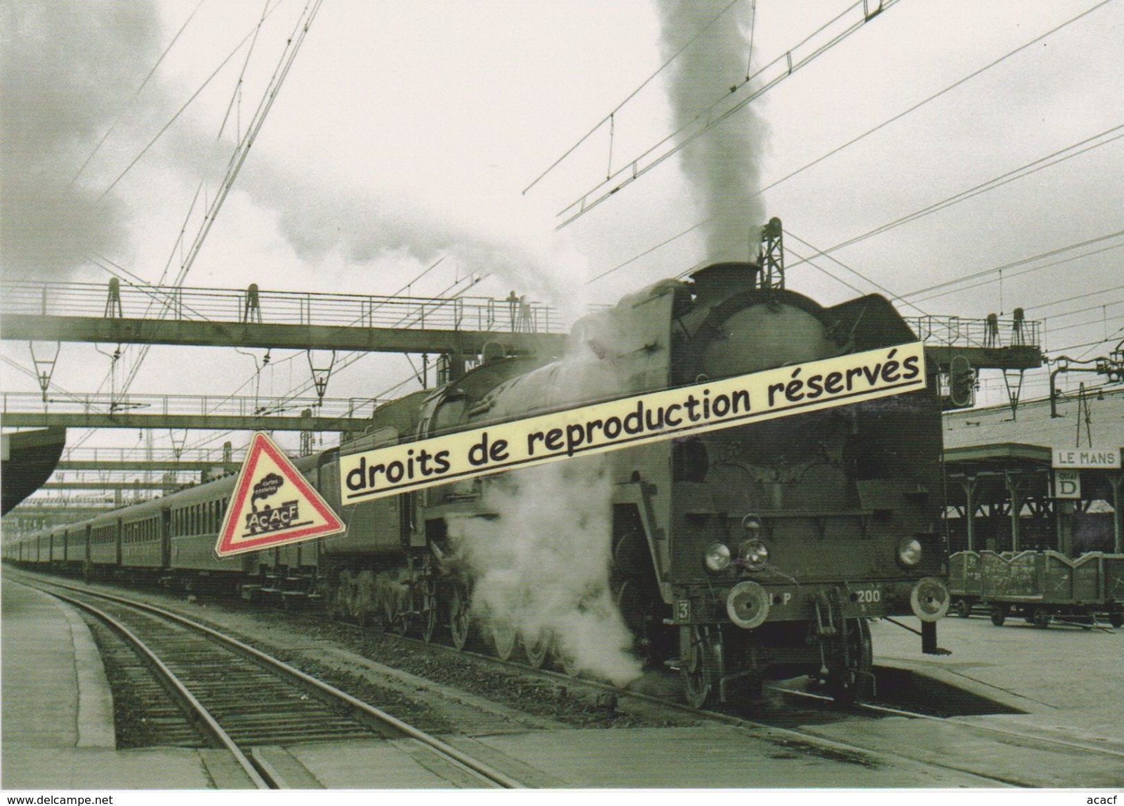 Loco Vapeur 141 P 200 Et Son Train, En Gare Du Mans (72) - - Gares - Avec Trains