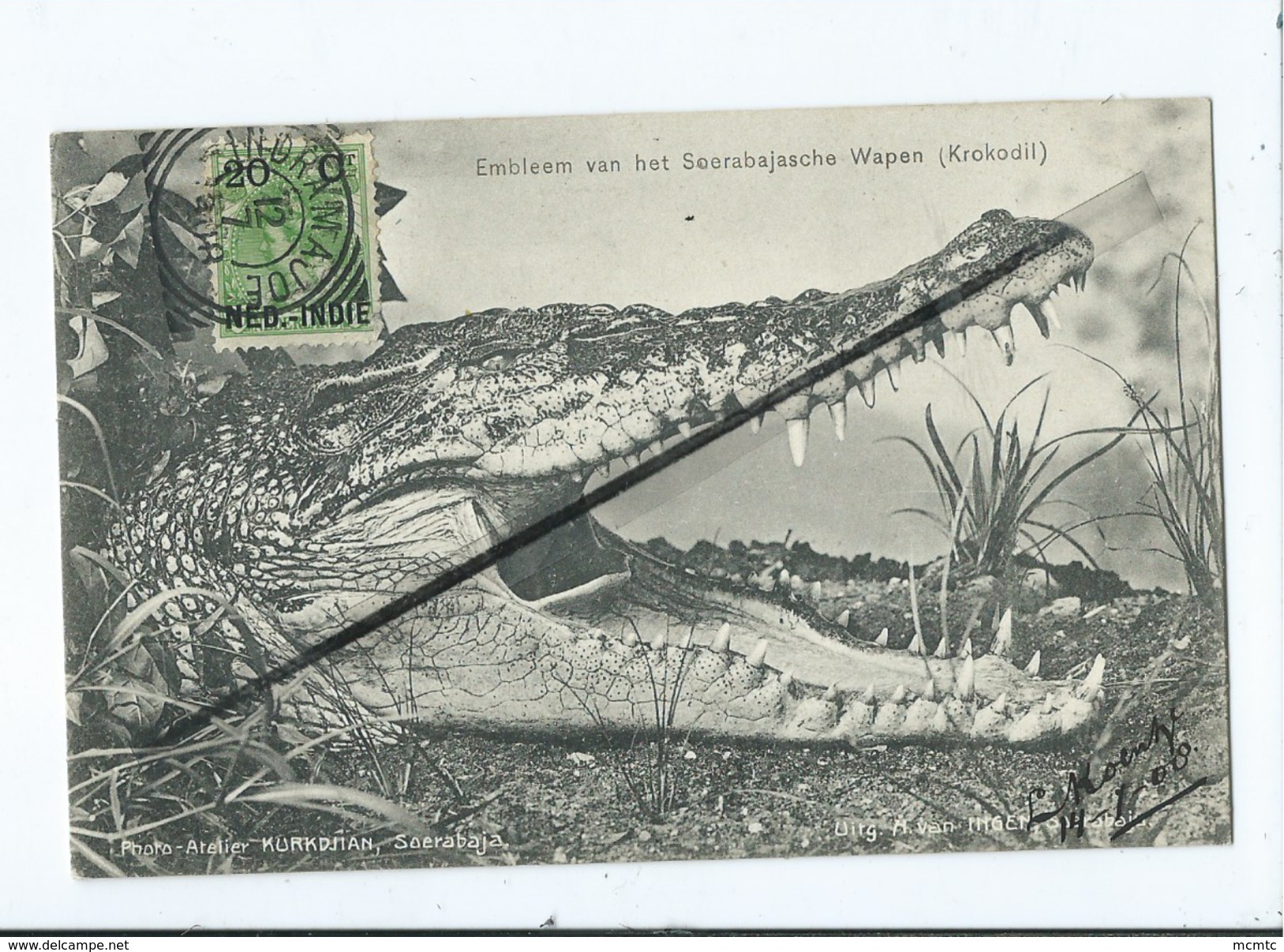 CPA -  Asie - Indonésie - Embleem Van Het Soerabajasche Wapen (Krokodil) Soerabaja - Surabaye(crocodile ) - Indonésie