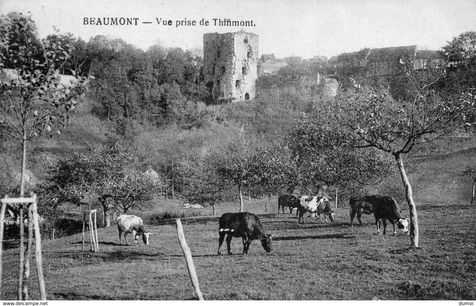 BEAUMONT  -  Vue Prise De Thinmont - Beaumont