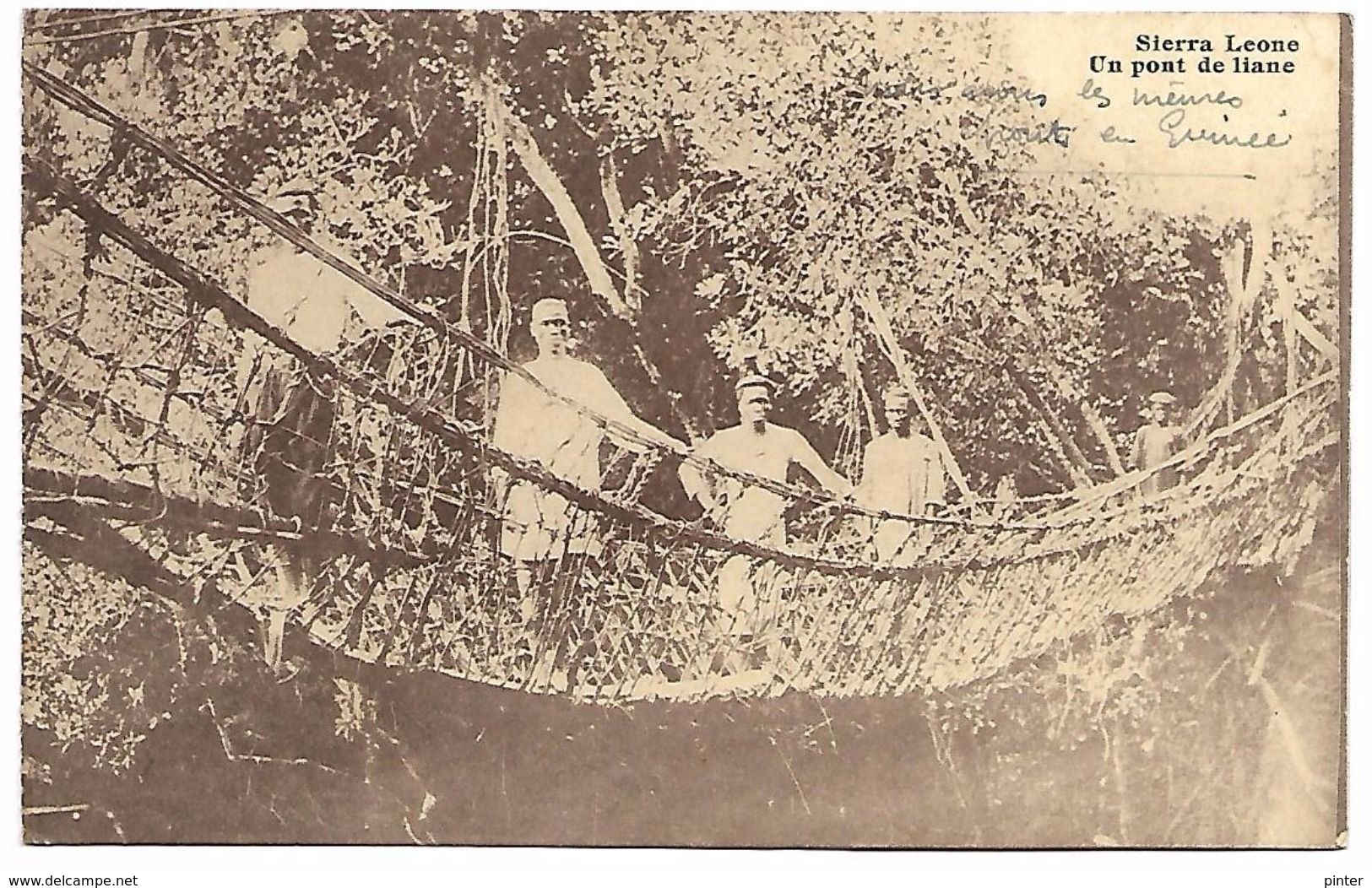 SIERRA LEONE - Un Pont De Liane - Sierra Leone