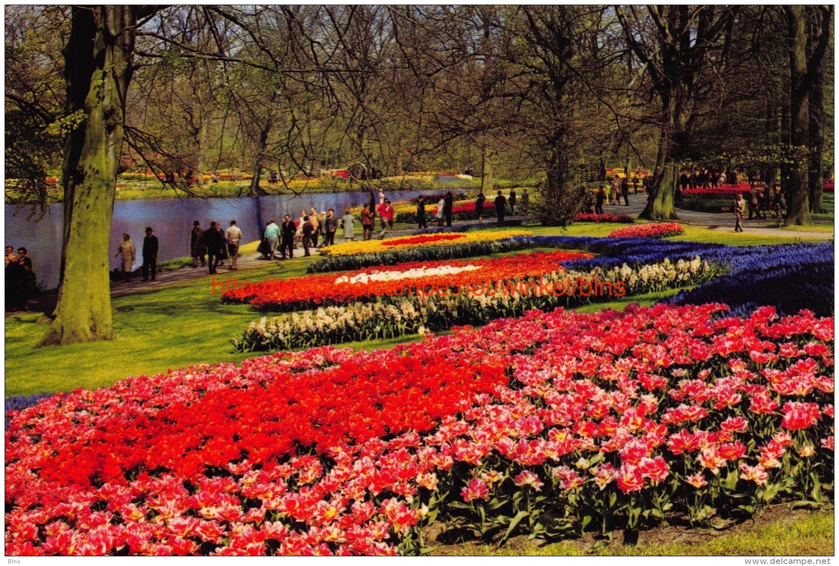 Holland In Bloementooi - Keukenhof - Lisse