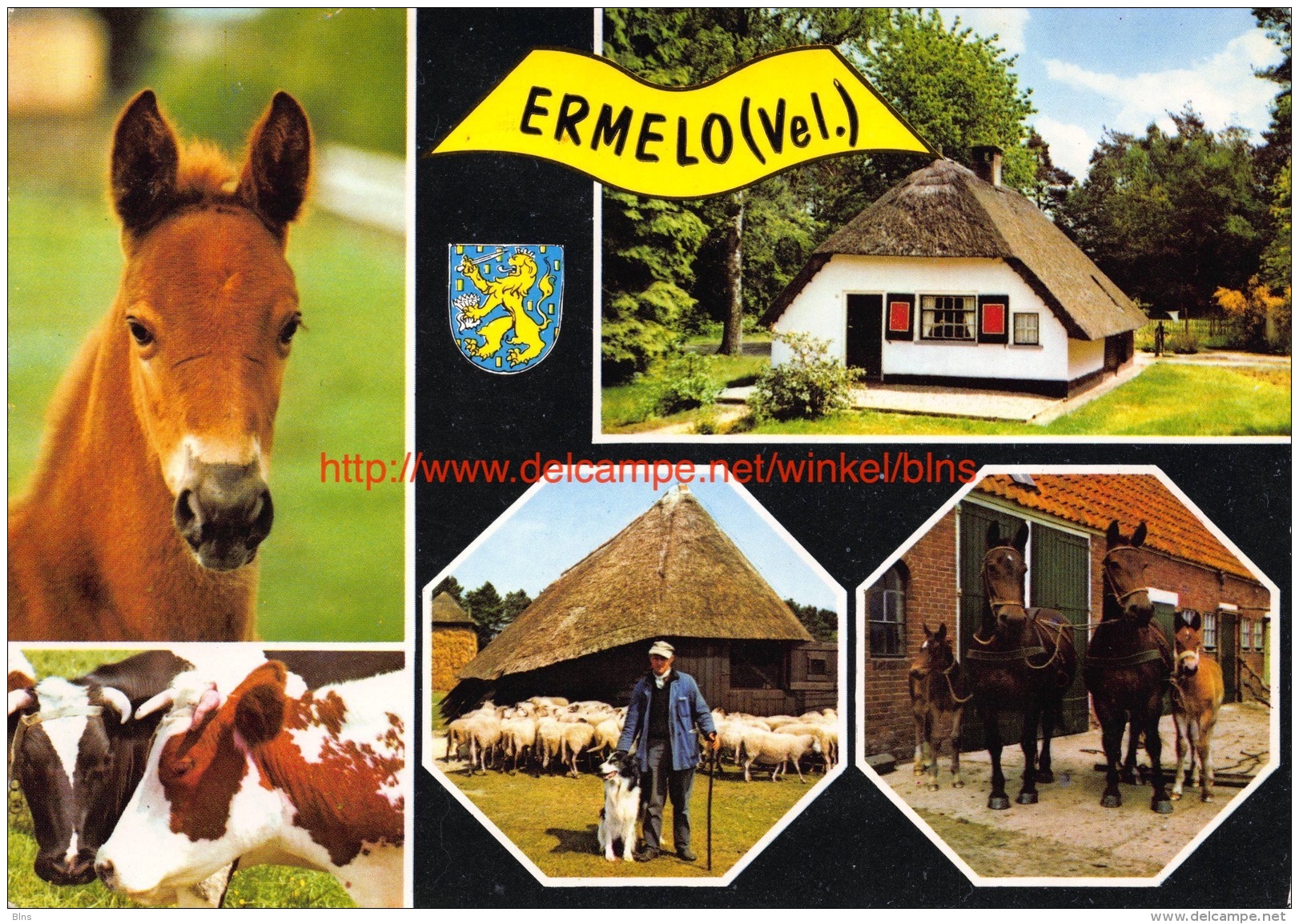 Ermelo - Ermelo