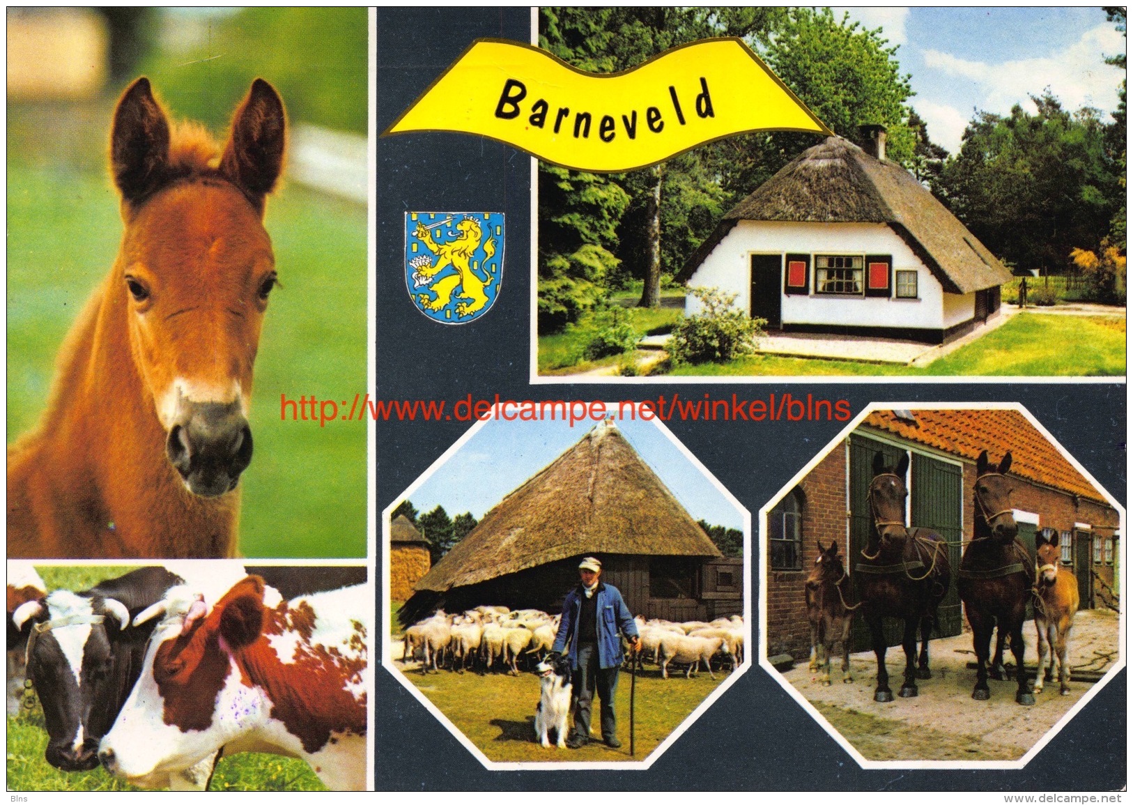 Barneveld - Barneveld