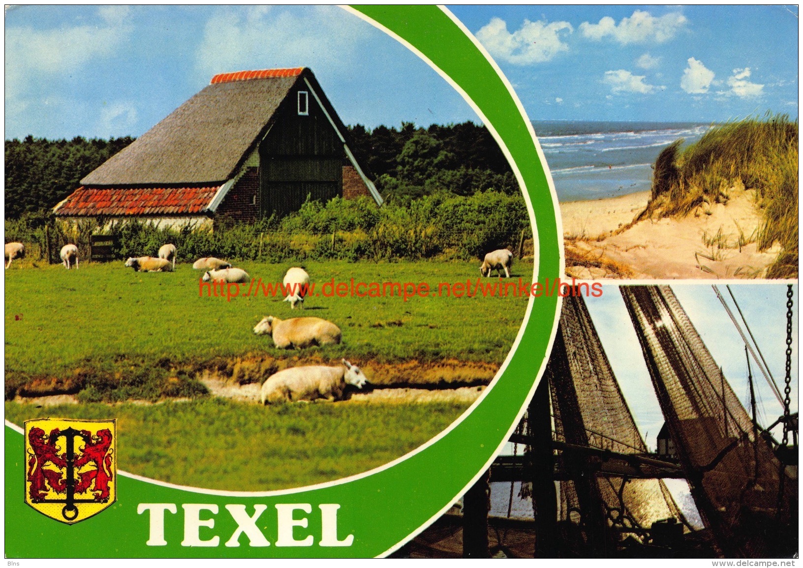 Texel - Texel