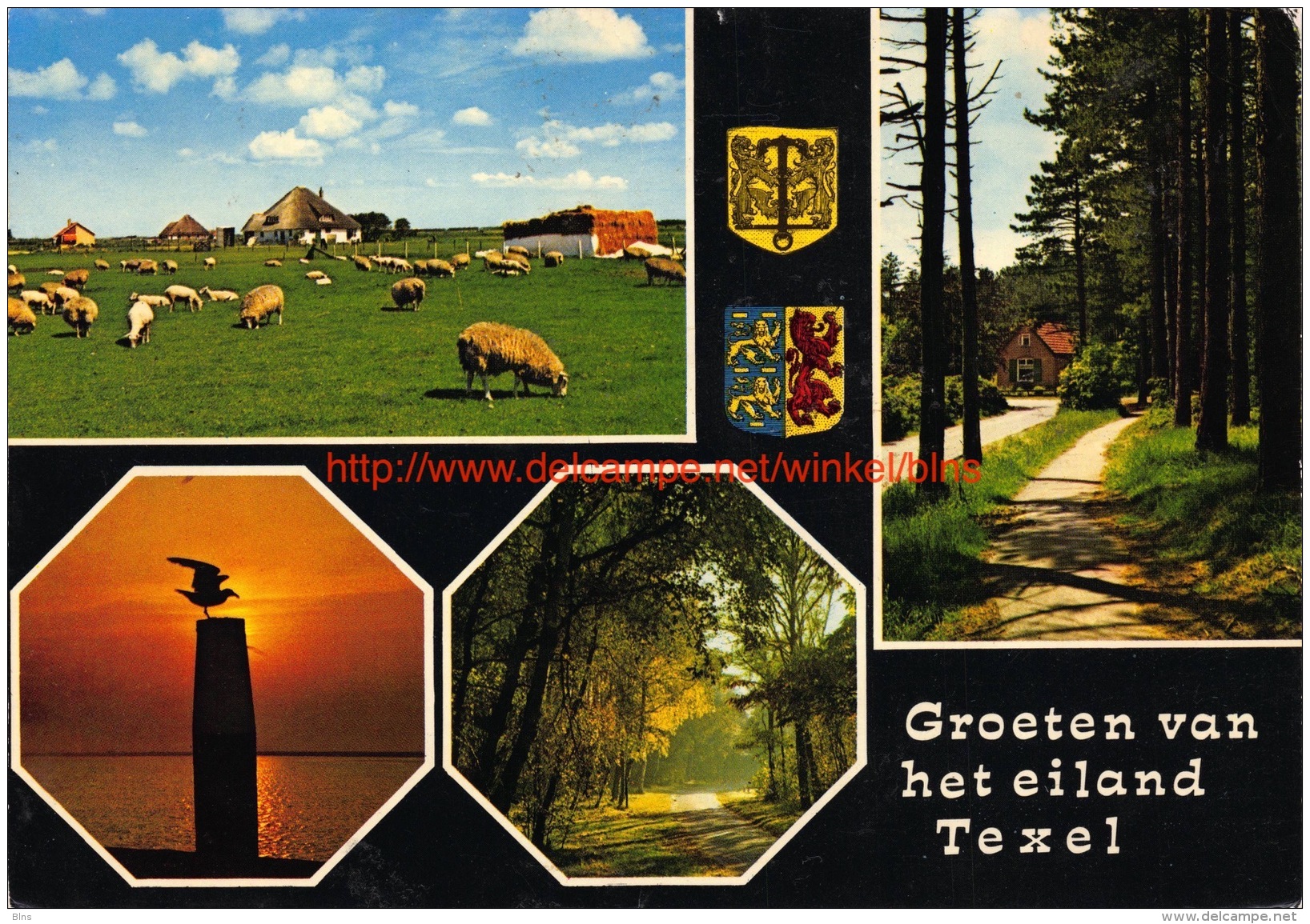 Groeten Van Â… - Texel - Texel