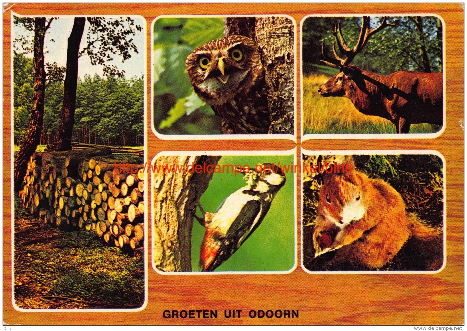 Groeten Uit Â… - Odoorn - Odoorn