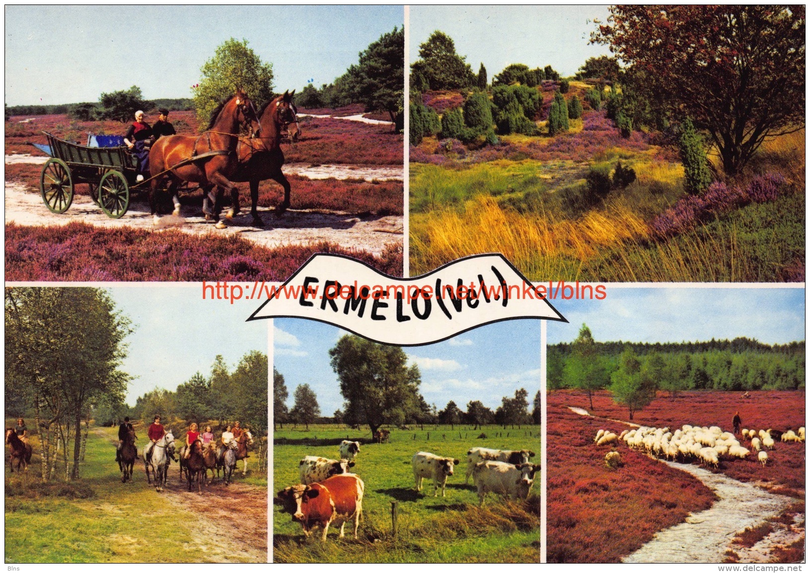 Ermelo - Ermelo