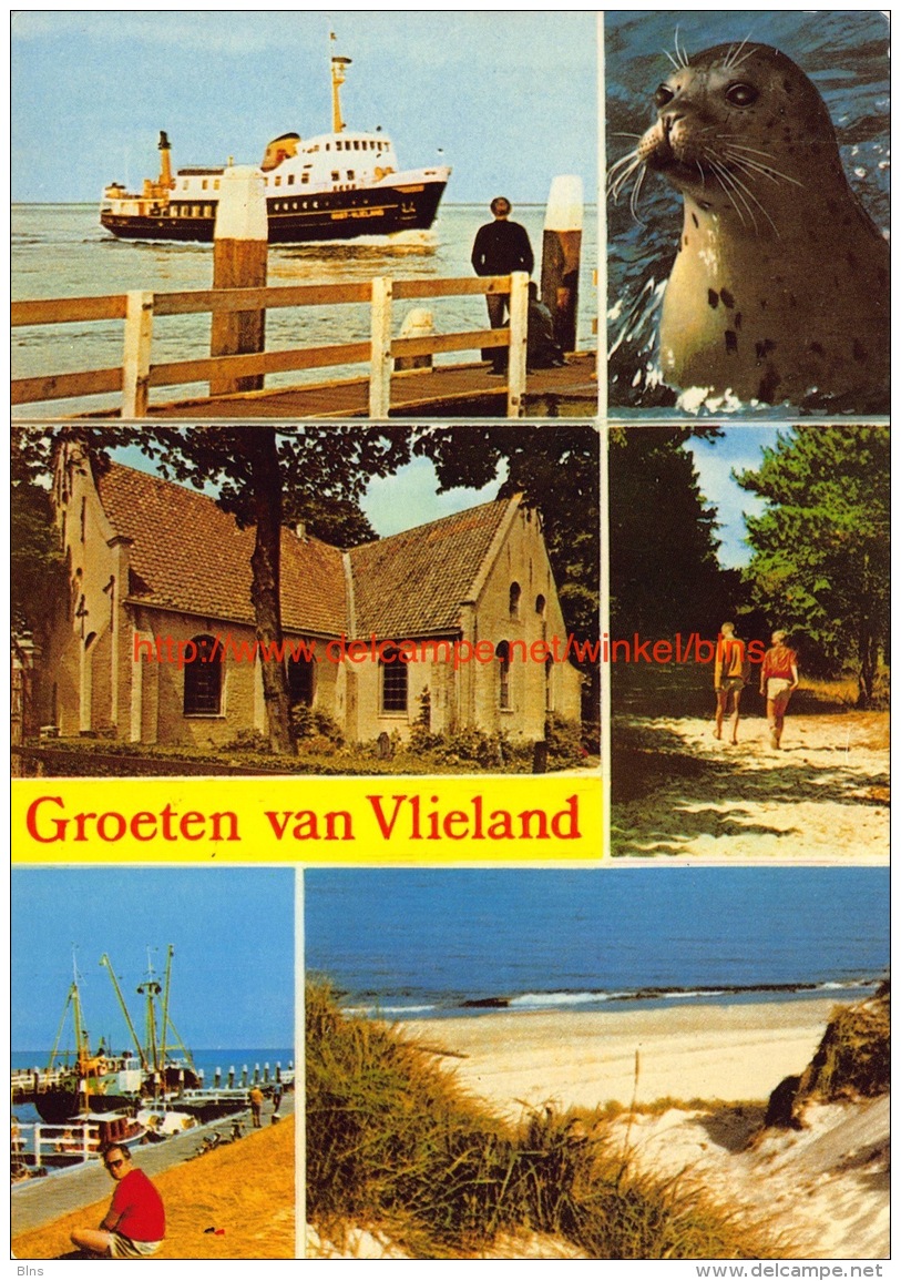 Groeten Van Â… - Vlieland - Vlieland