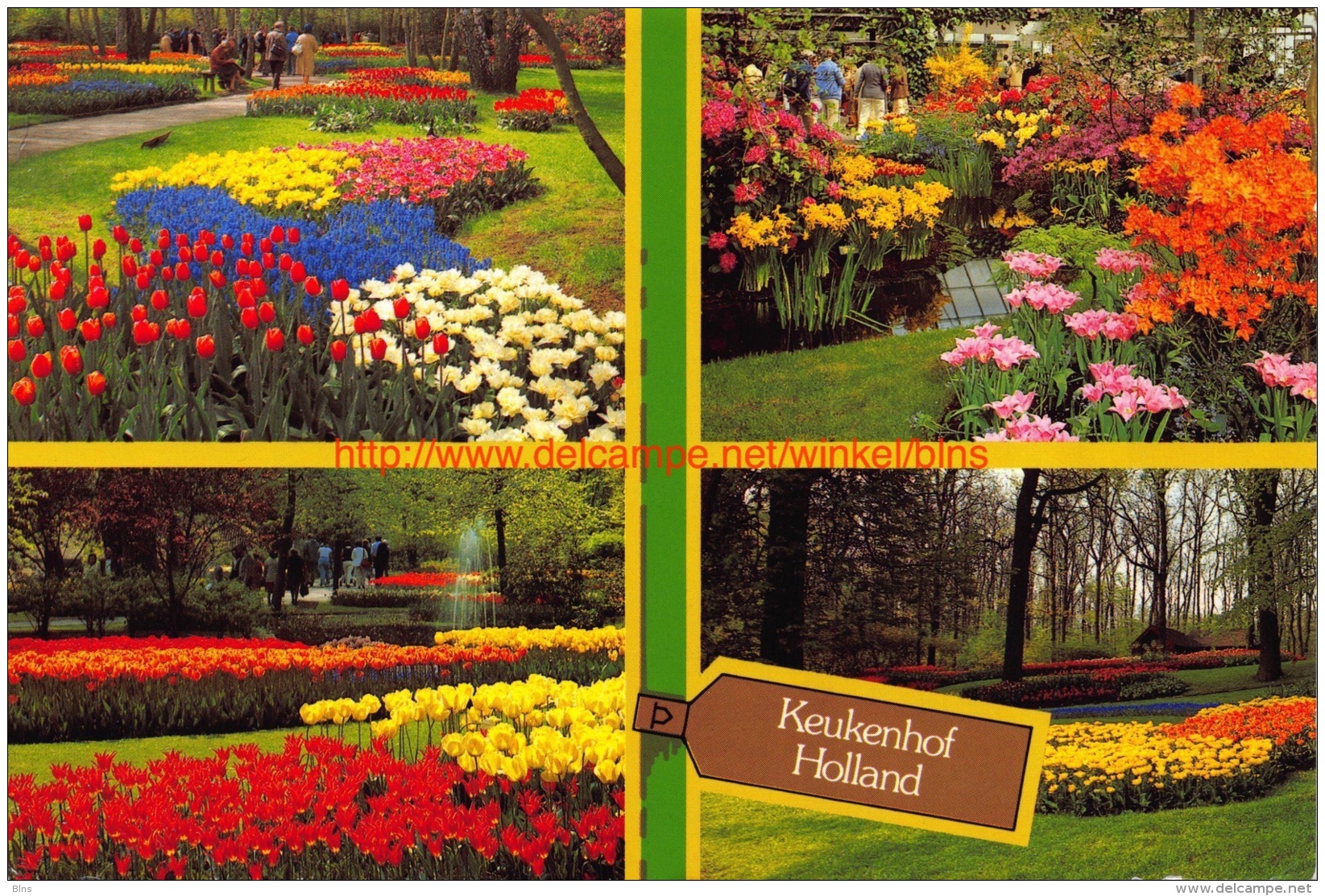 Holland In Bloementooi - Keukenhof - Lisse