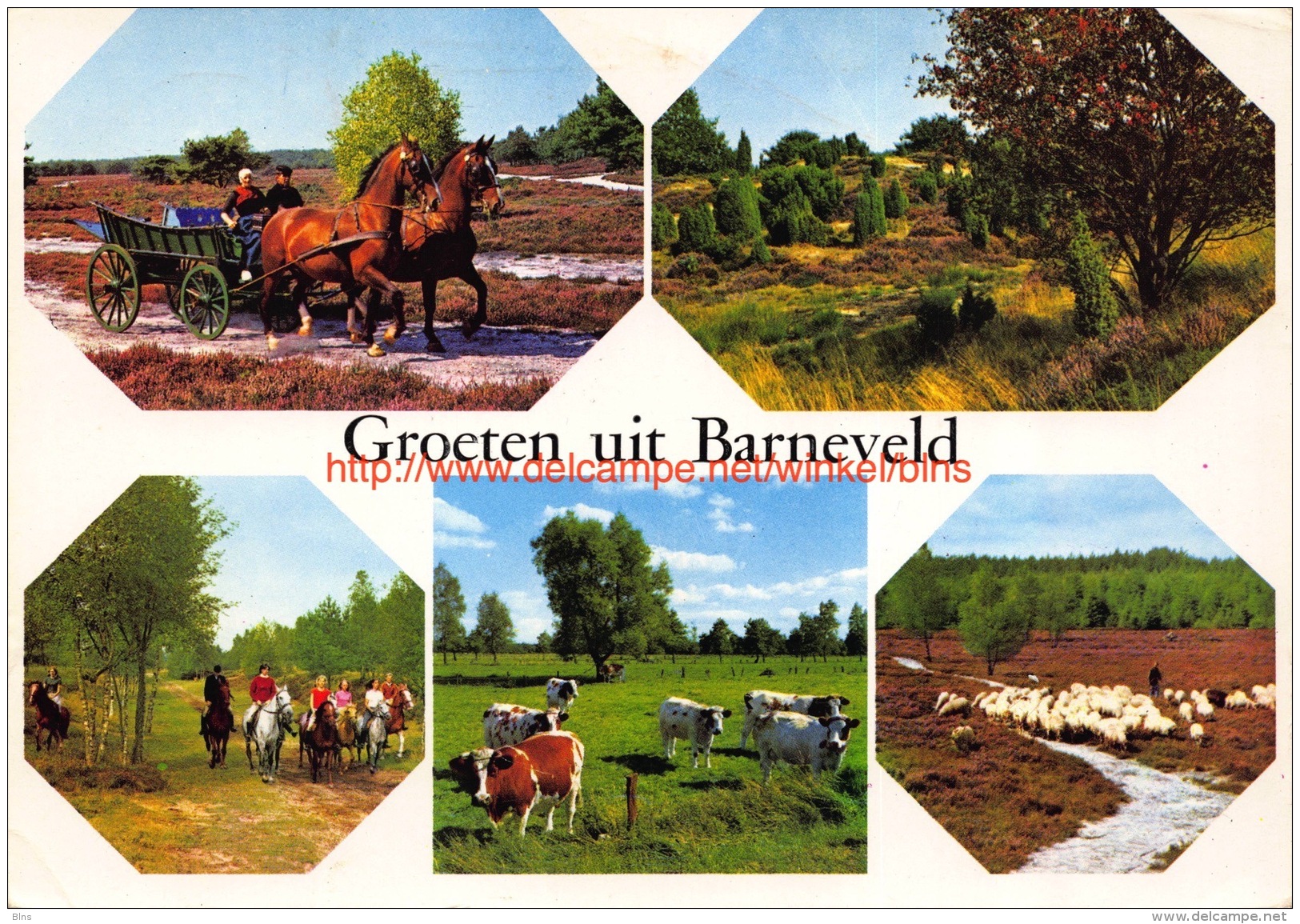 Groeten Uit Â… - Barneveld - Barneveld