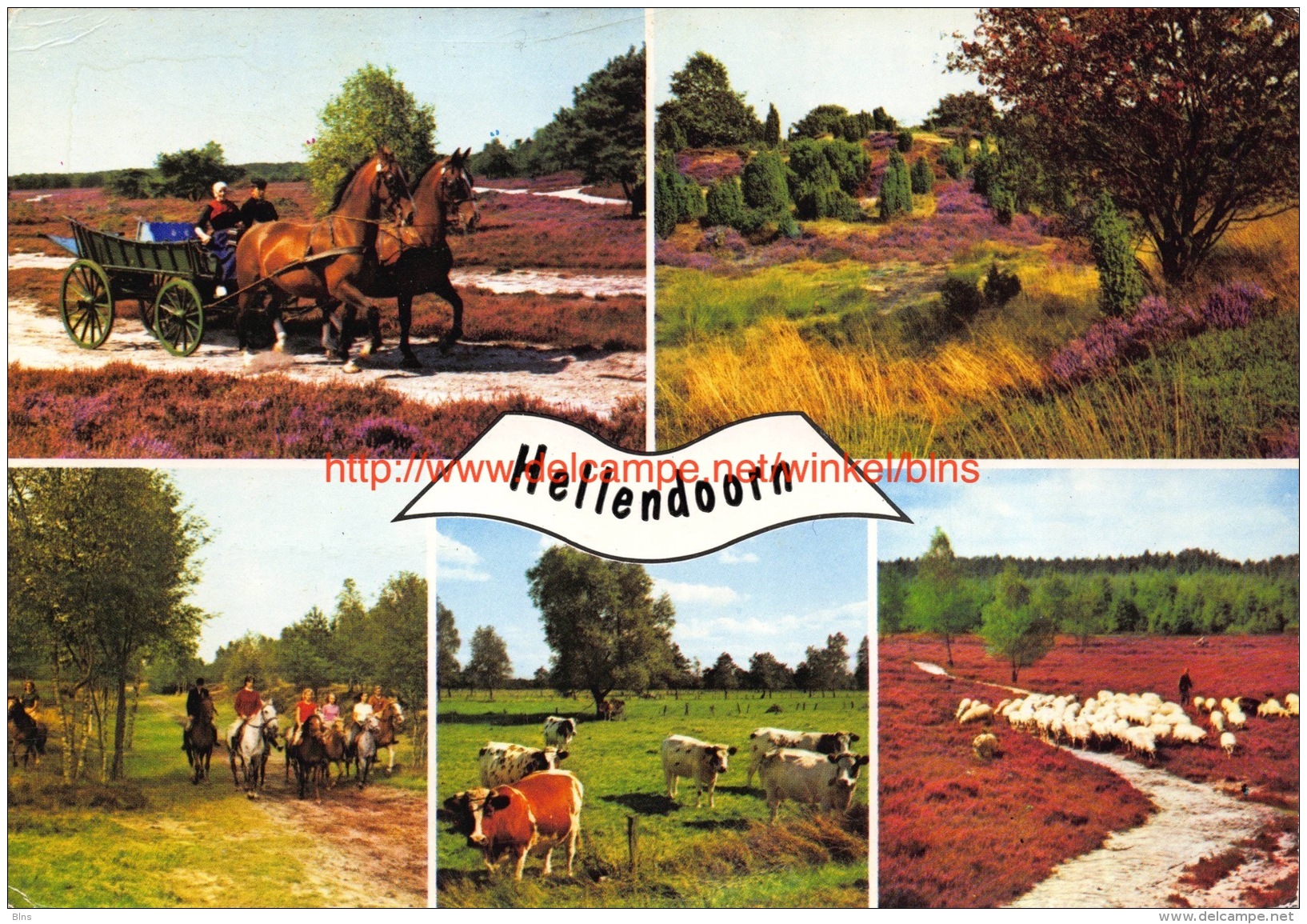 Hellendoorn - Hellendoorn