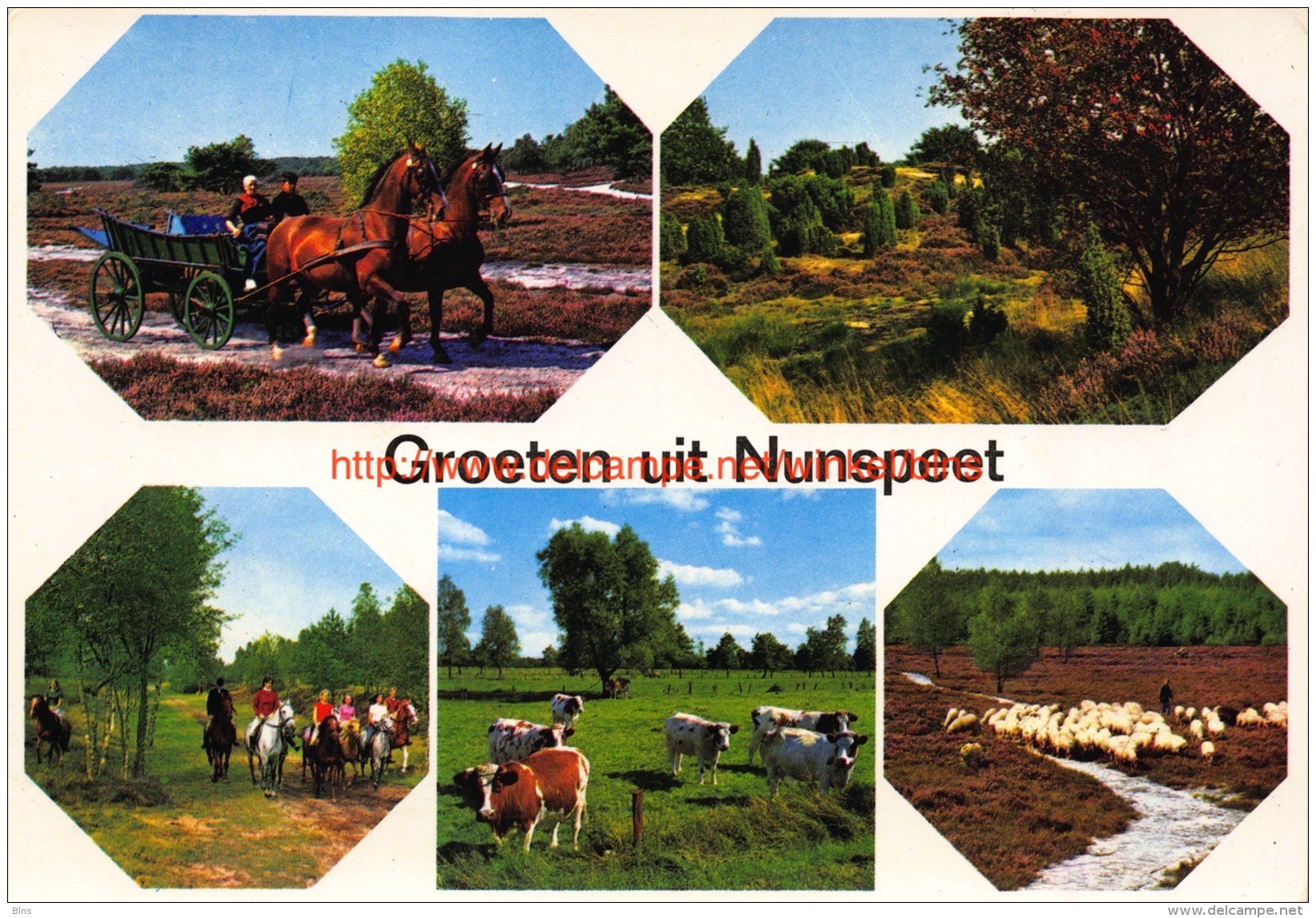 Groeten Uit Â… - Nunspeet - Nunspeet