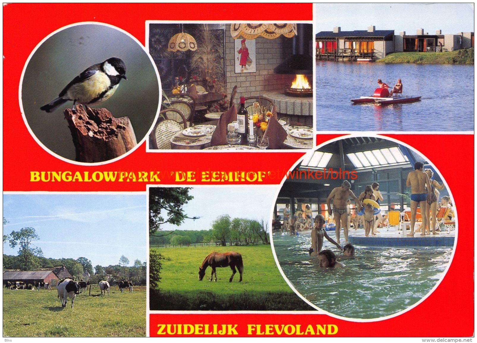 Bungalowpark De Eemhof - Flevoland - Other & Unclassified