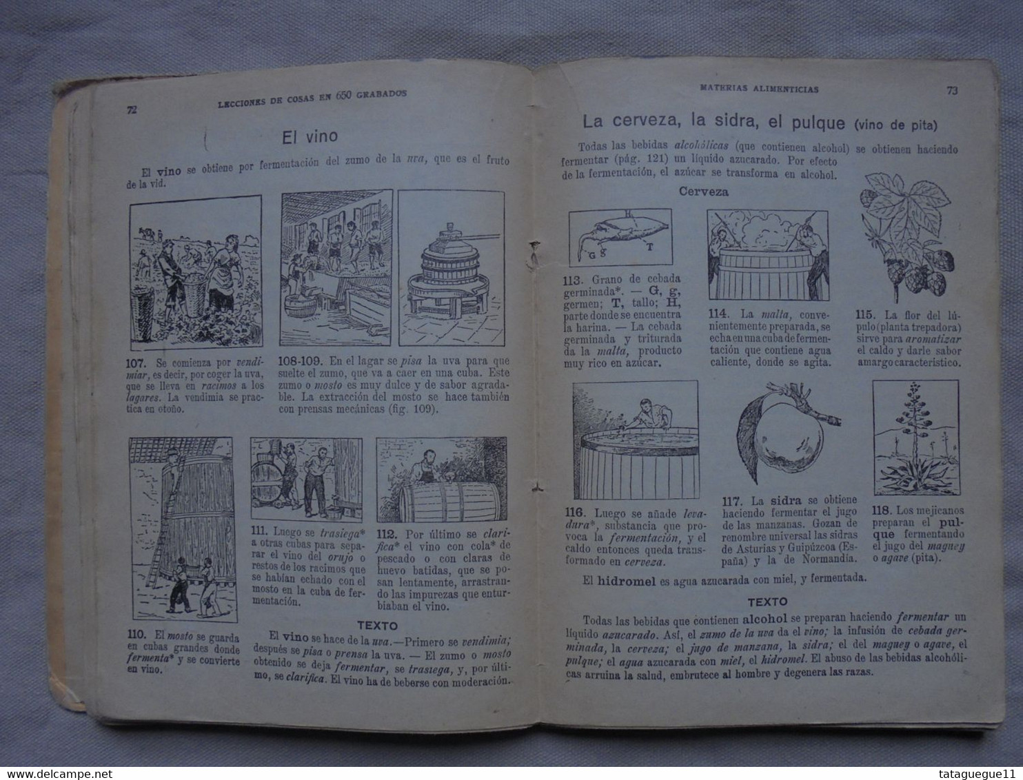 Ancien - Livre Manuel scolaire Lecciones de Cosas Leçons de choses Espagnol 1920