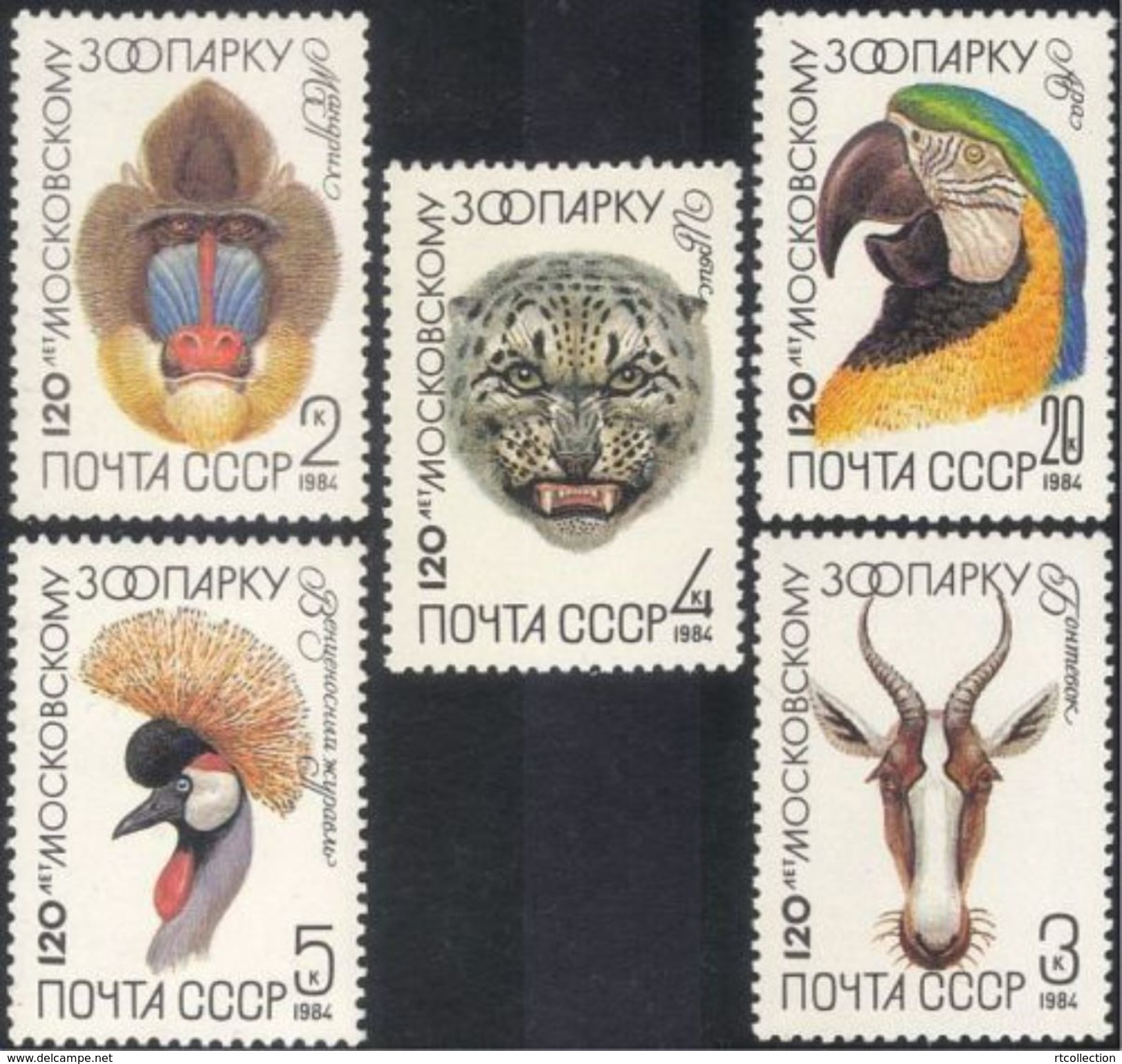 USSR Russia 1984 Moscow Zoo Animals Birds Bird Parrot Leopard Crane Wildlife Monkey Stamps MNH Michel 5356-60 Sc 5226-30 - Cranes And Other Gruiformes