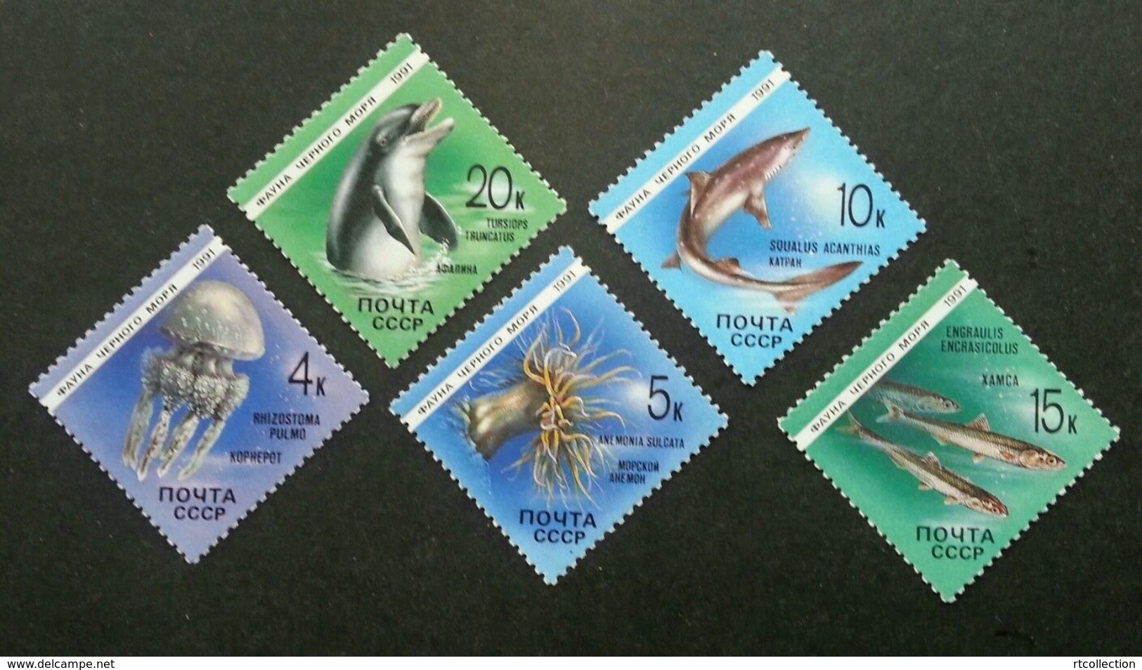 USSR Russia 1991 Marine Life Mammals Fauna Fish Fishes Dolphins Sealife Sea Nature Stamps MNH Mi 6158-6162 Scott#5954-58 - Dolphins