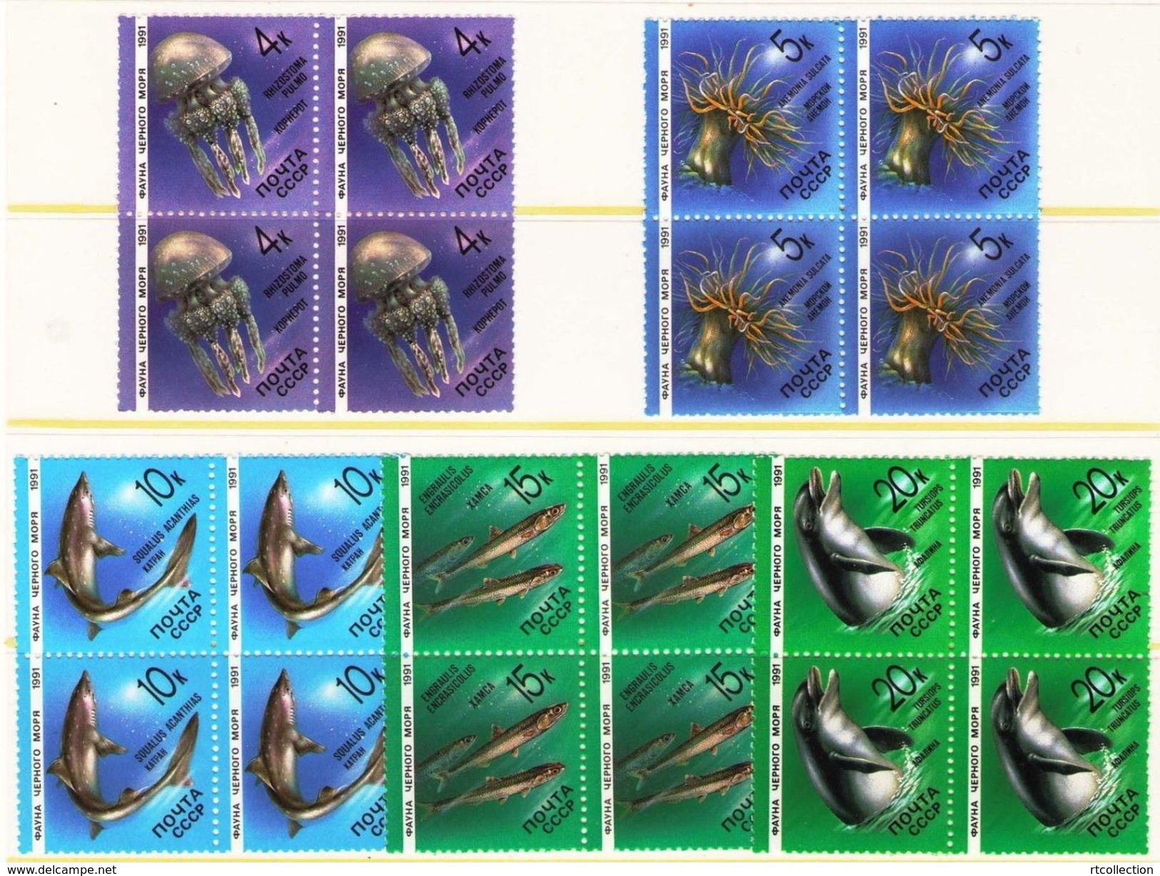 USSR Russia 1991 Block Marine Life Mammals Fauna Fishes Dolphins Sealife Sea Whales Stamps MNH Mi 6158-62 Sc 5954-58 - Dolphins