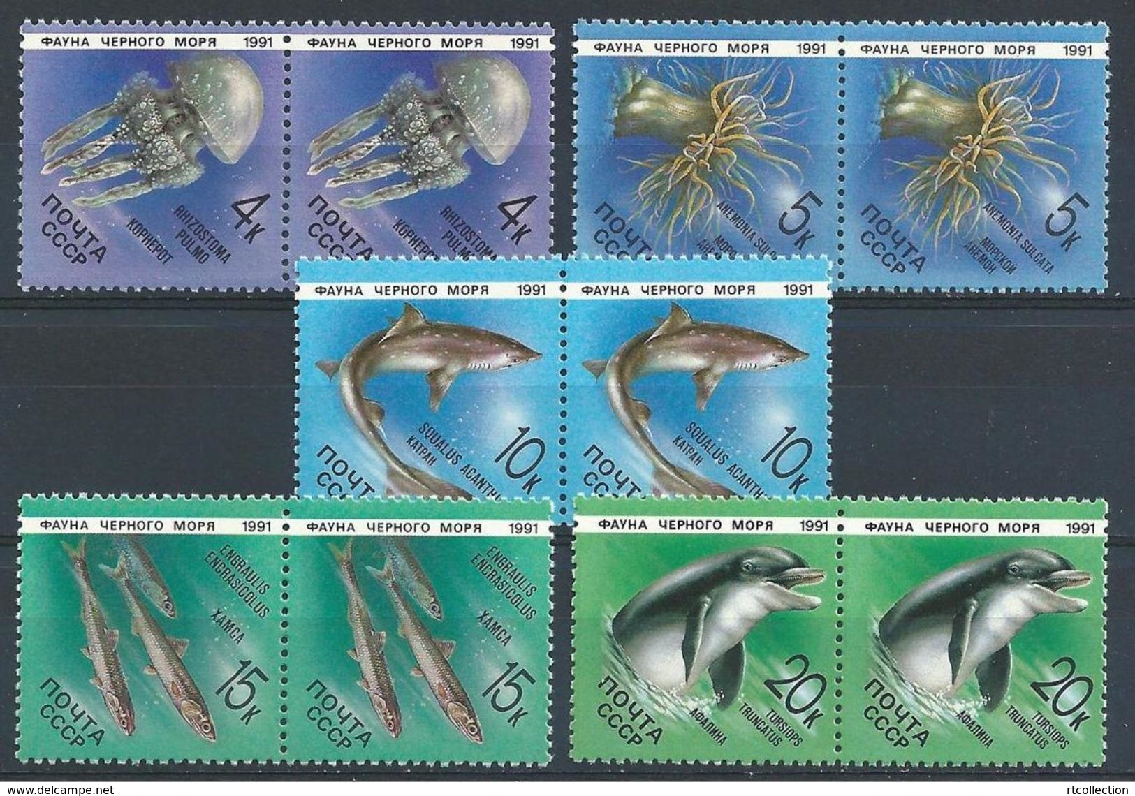 USSR Russia 1991 Pair Marine Life Mammals Fauna Fishes Dolphins Sealife Sea Whales Stamps MNH Mi 6158-62 Sc 5954-58 - Vie Marine