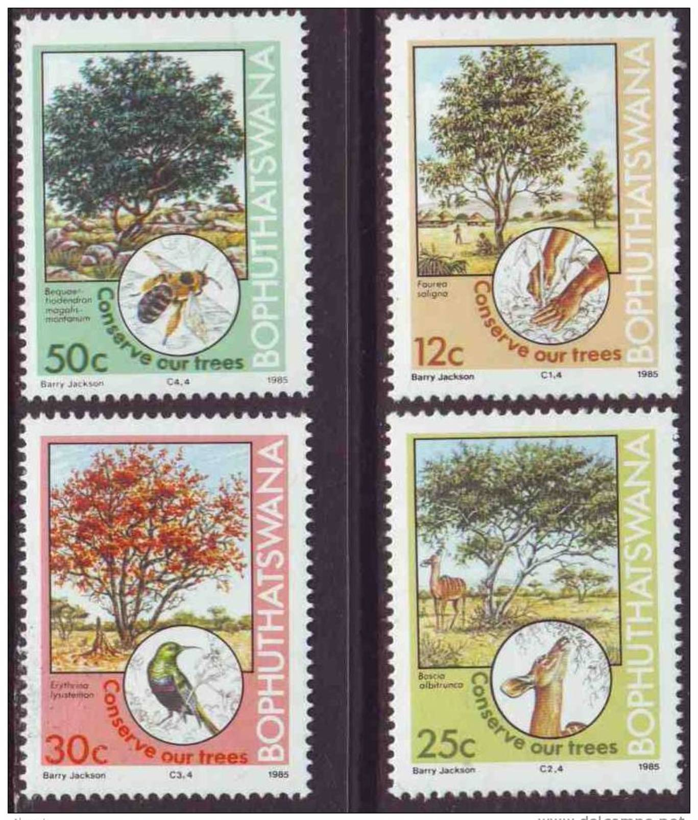 D90819 Bophuthatswana South Africa 1985 TREES BEES HUMMING BIRD MNH Set - Afrique Du Sud Afrika RSA Sudafrika - Bophuthatswana