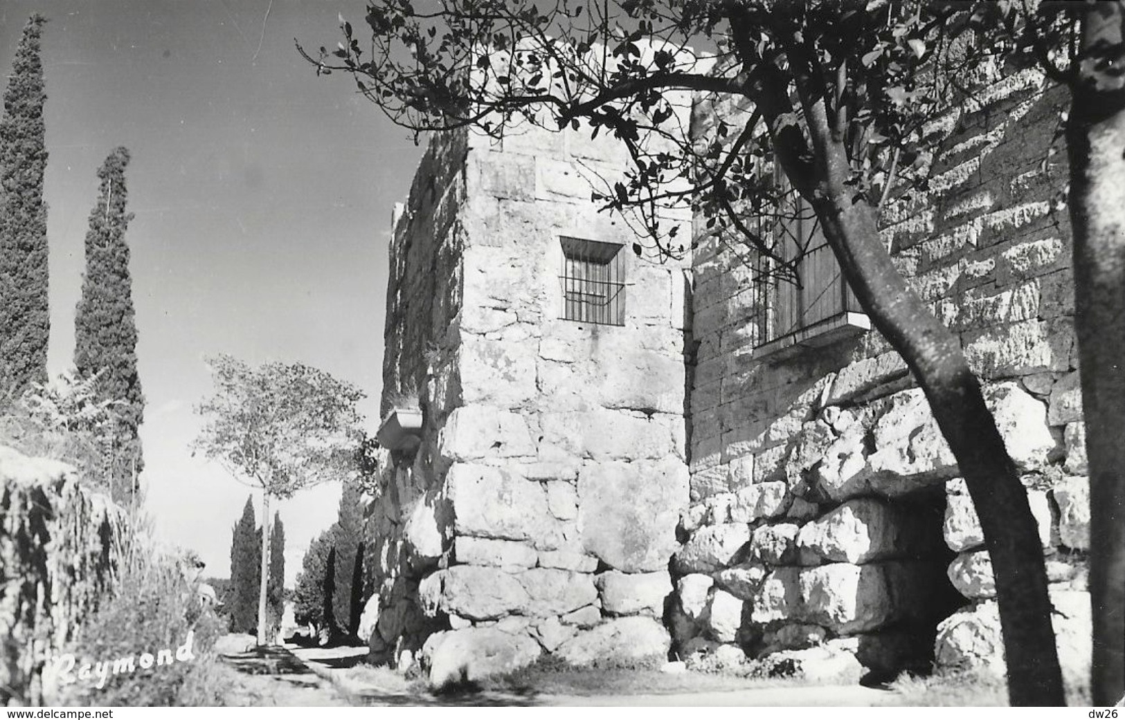 Tarragona - Paseo Arqueologico (Puerta Cicloea) - Lot De 2 Cartes Raymond Non Circulées - Tarragona