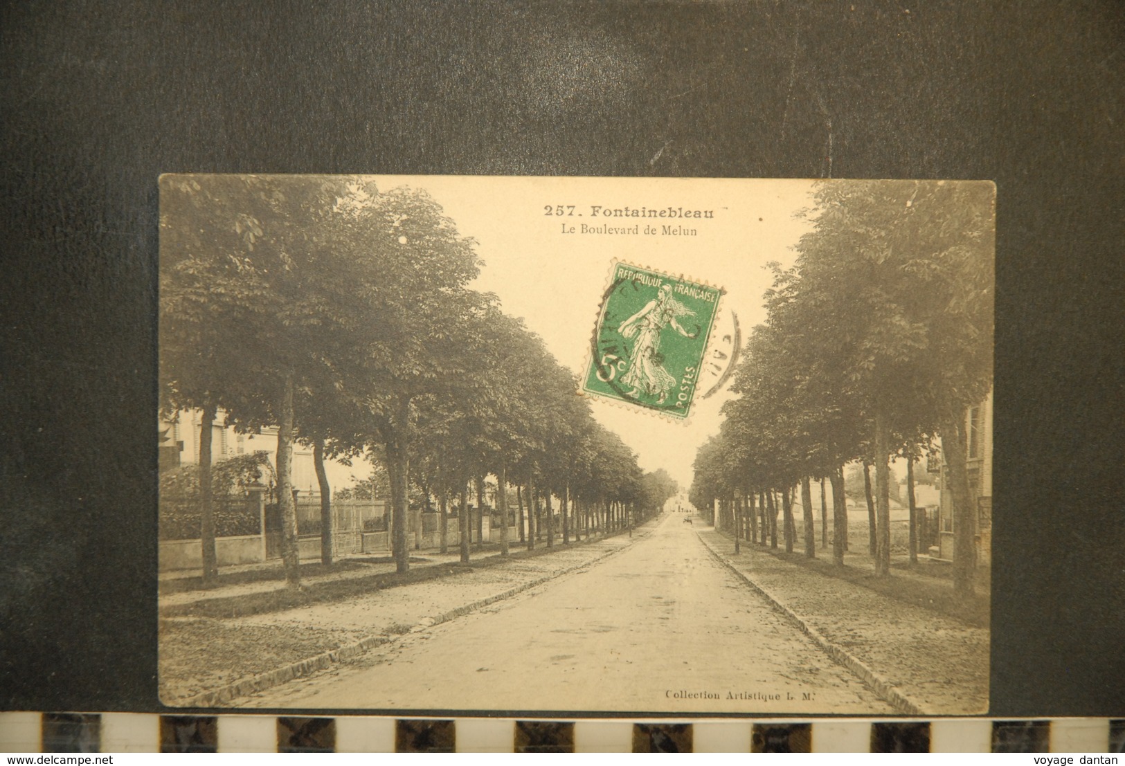 CP, 77, FONTAINEBLEAU, Le Boulevard De Melun - Fontainebleau