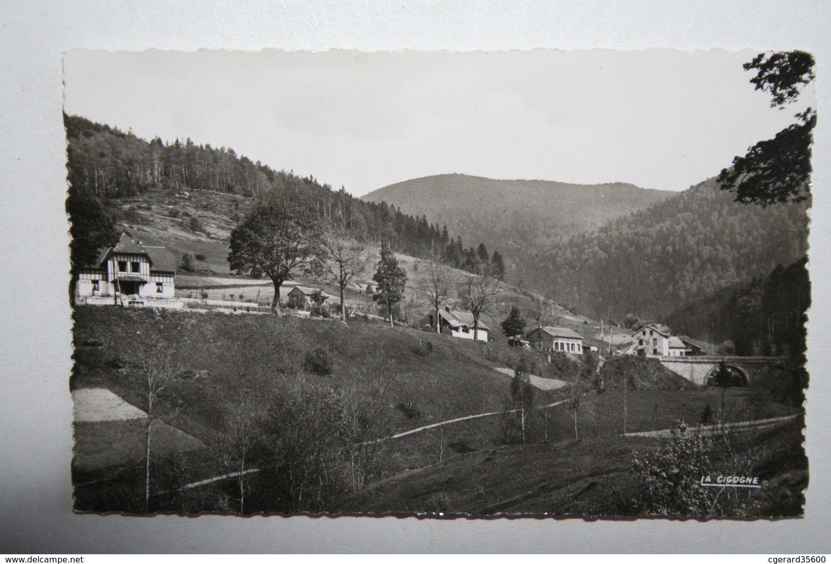 88 : Bussang - Hôtel Bellevue Et Pont Du Séchenat - Col De Bussang