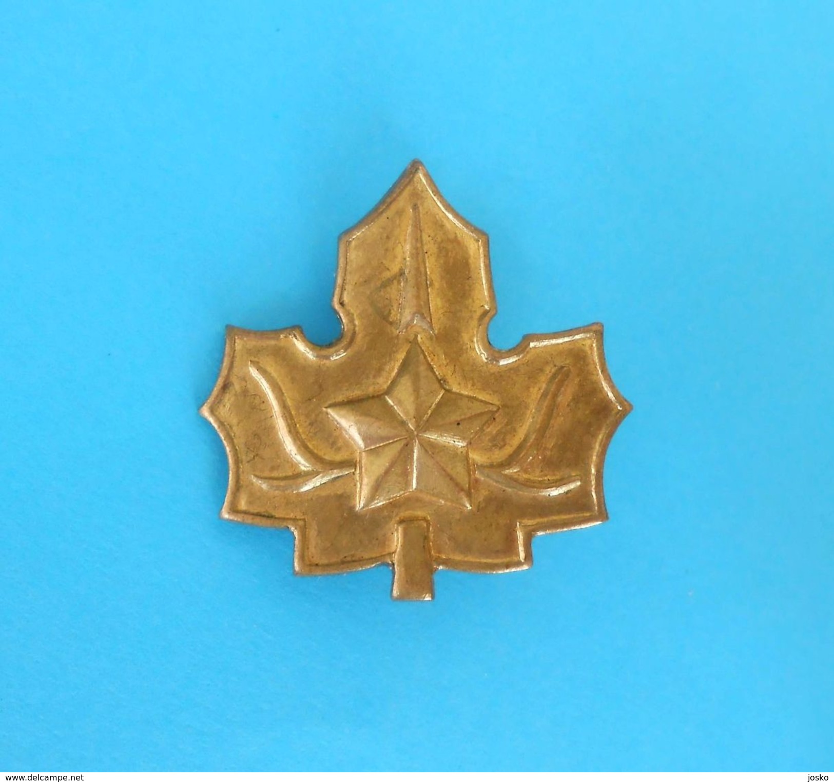 YUGOSLAVIA SCOUTS UNION Old Large Cap Hat Brass Pin Badge Boy Scout Scouting Scoutisme Escrutinio Pfadfinder Scoutismo - Other & Unclassified