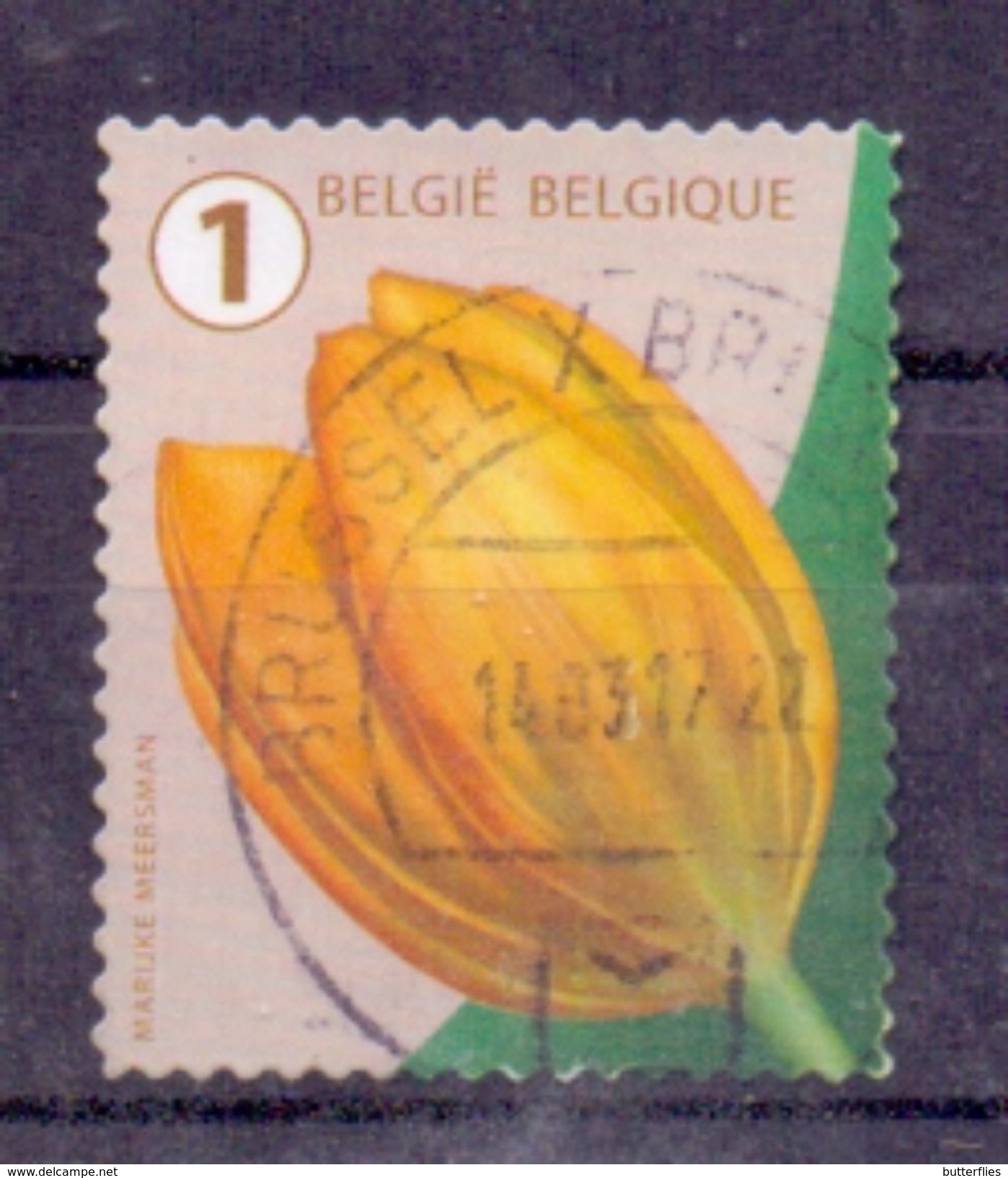 Belgie - 2016 - OBP - Bloemen - Zonder Papierresten - Oblitérés