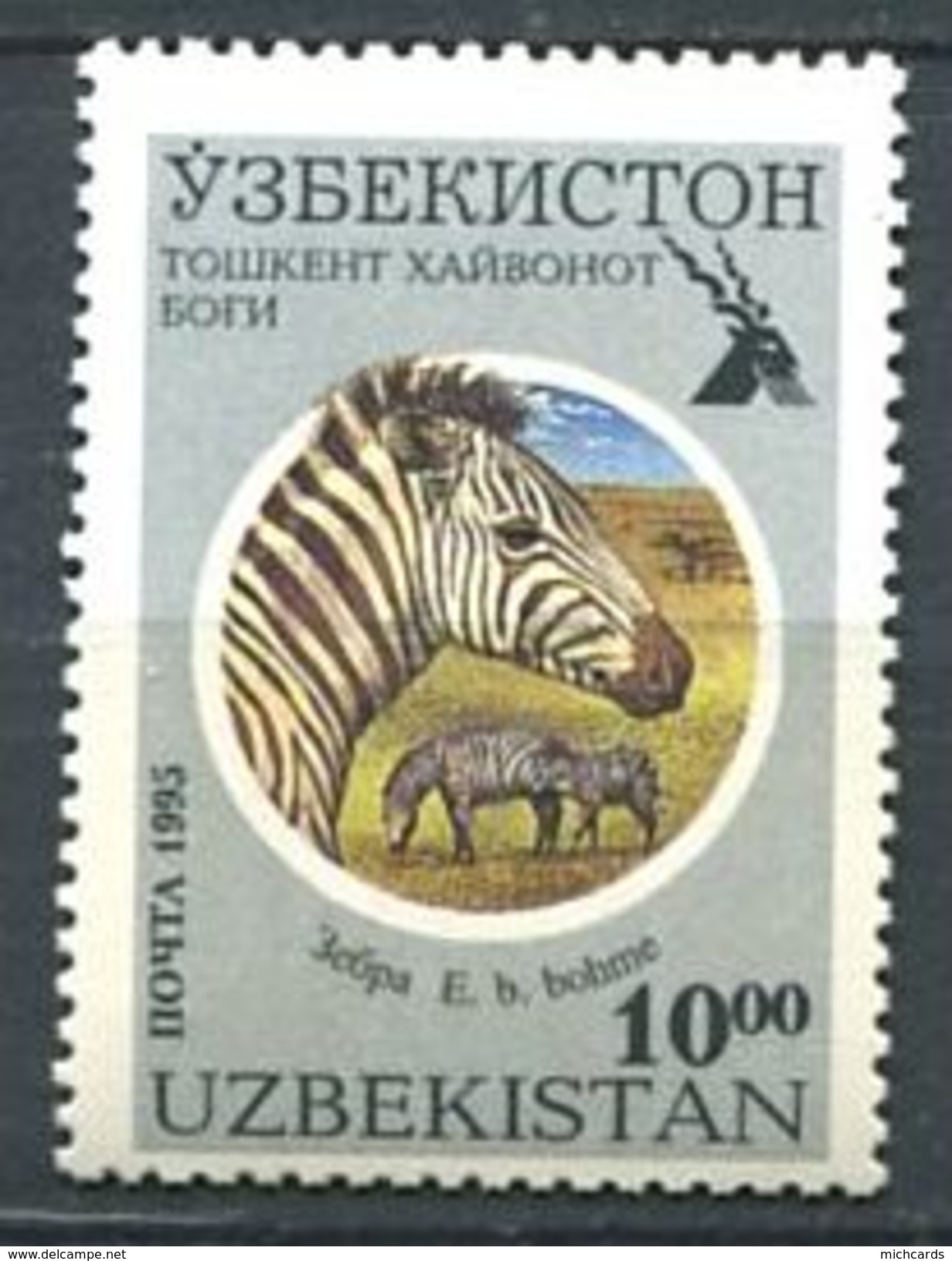 205 OUZBEKISTAN 1995 - Yvert 61 D - Zebre - Neuf ** (MNH) Sans Trace De Charniere - Ouzbékistan