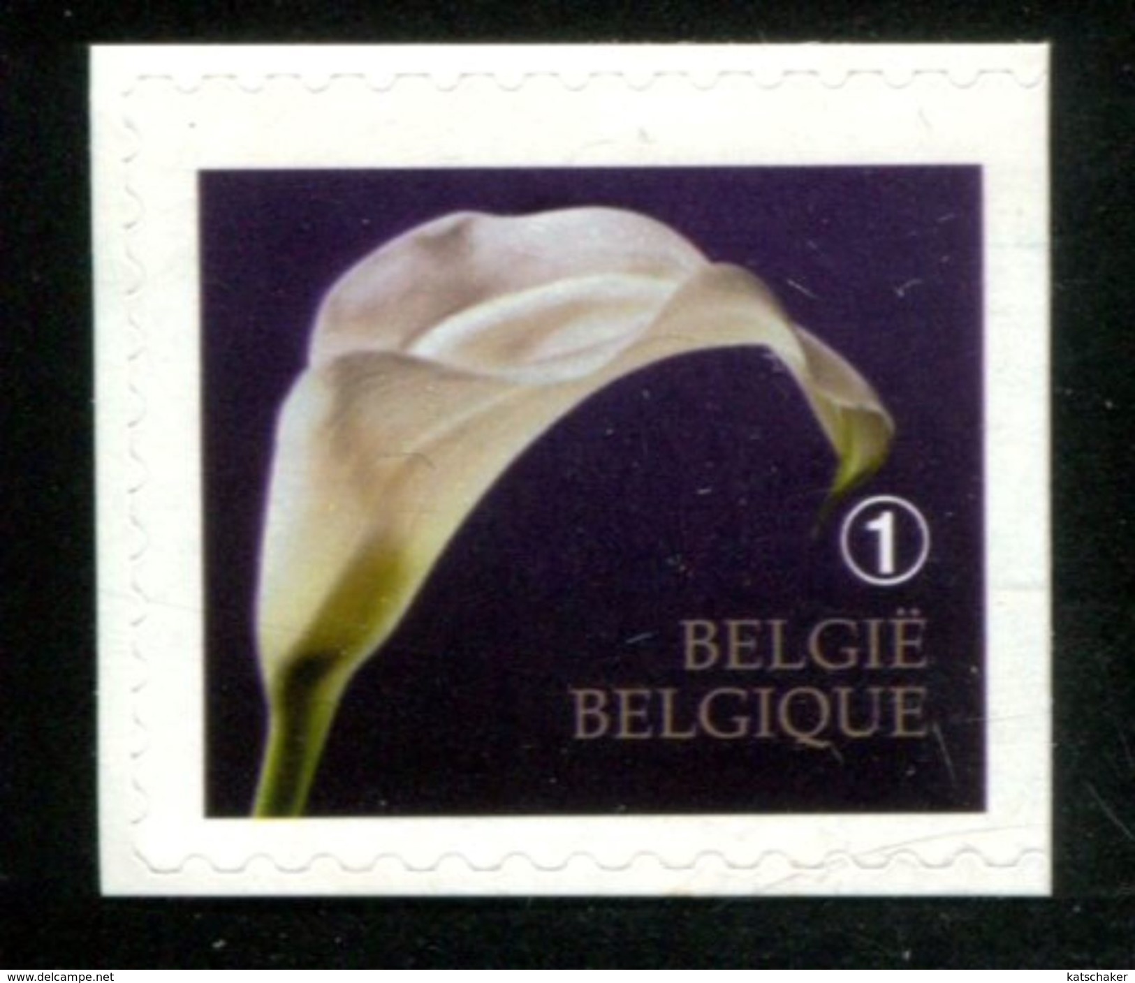 466716071 BELGIE 2013 *** MNH OCB 4368a Rouwzegels - Unused Stamps