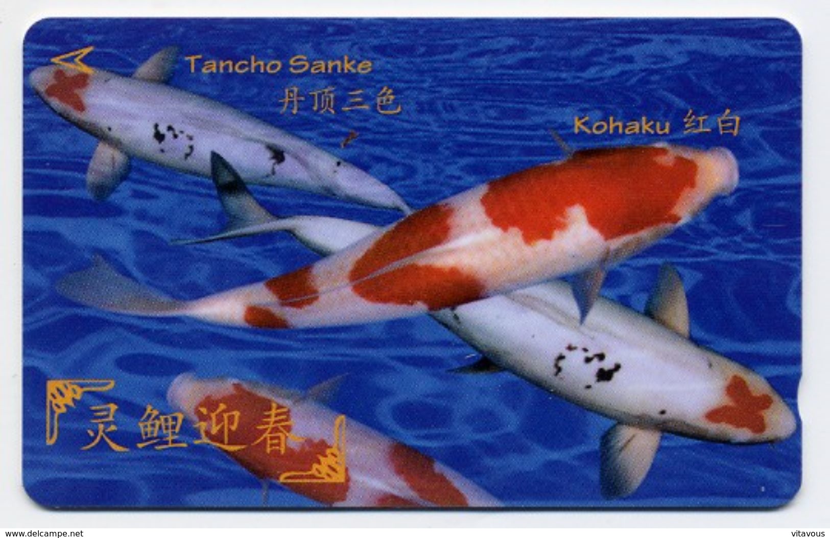 Poisson Peixe Fish Corail Mer Télécarte Phonecard  (S.482) - Singapur