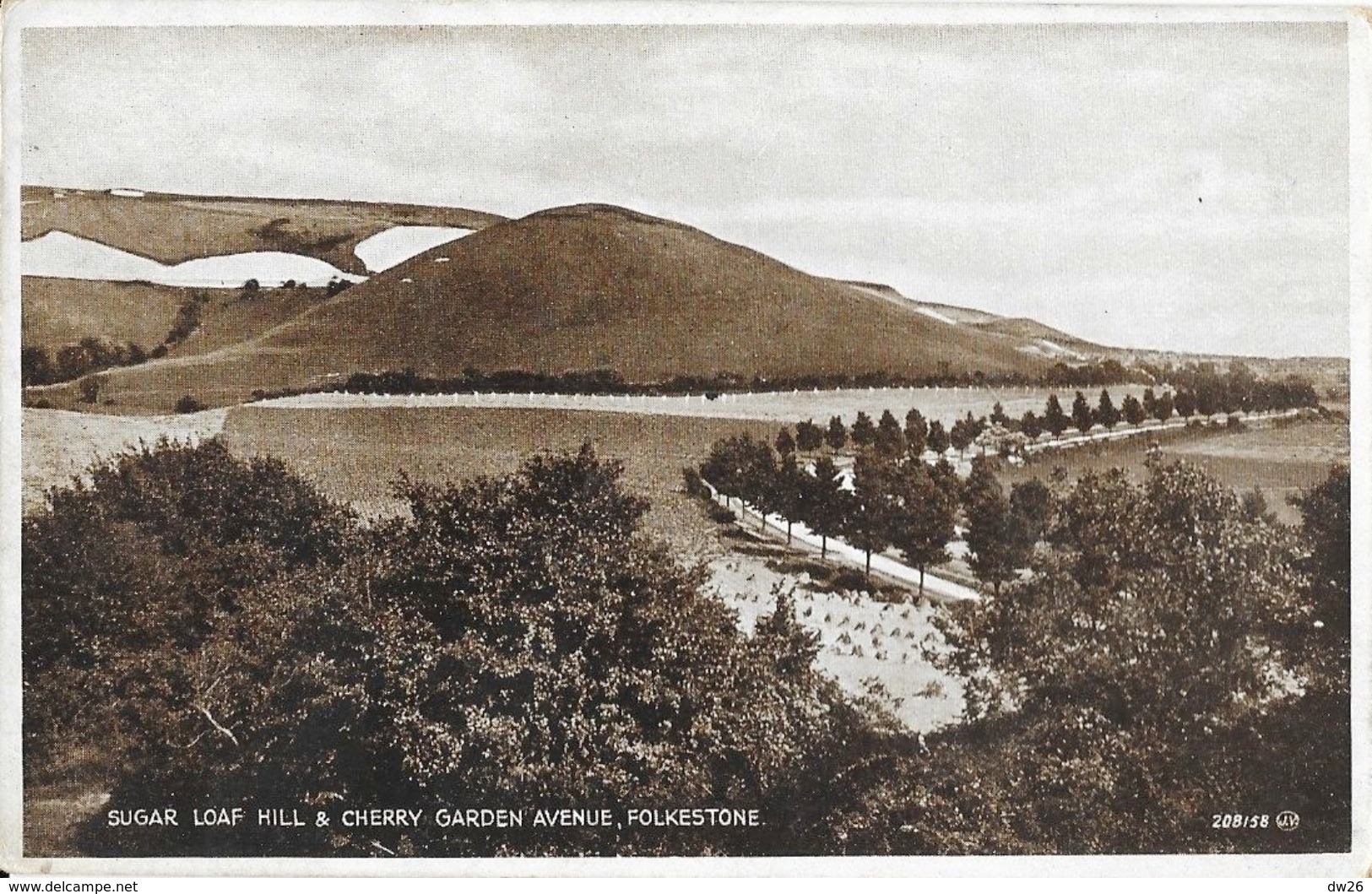 Sugar Loaf Hill & Cheery Garden Avenue - Folkestone - Valentine's Photo Brown Postcard Not Circulated - Folkestone