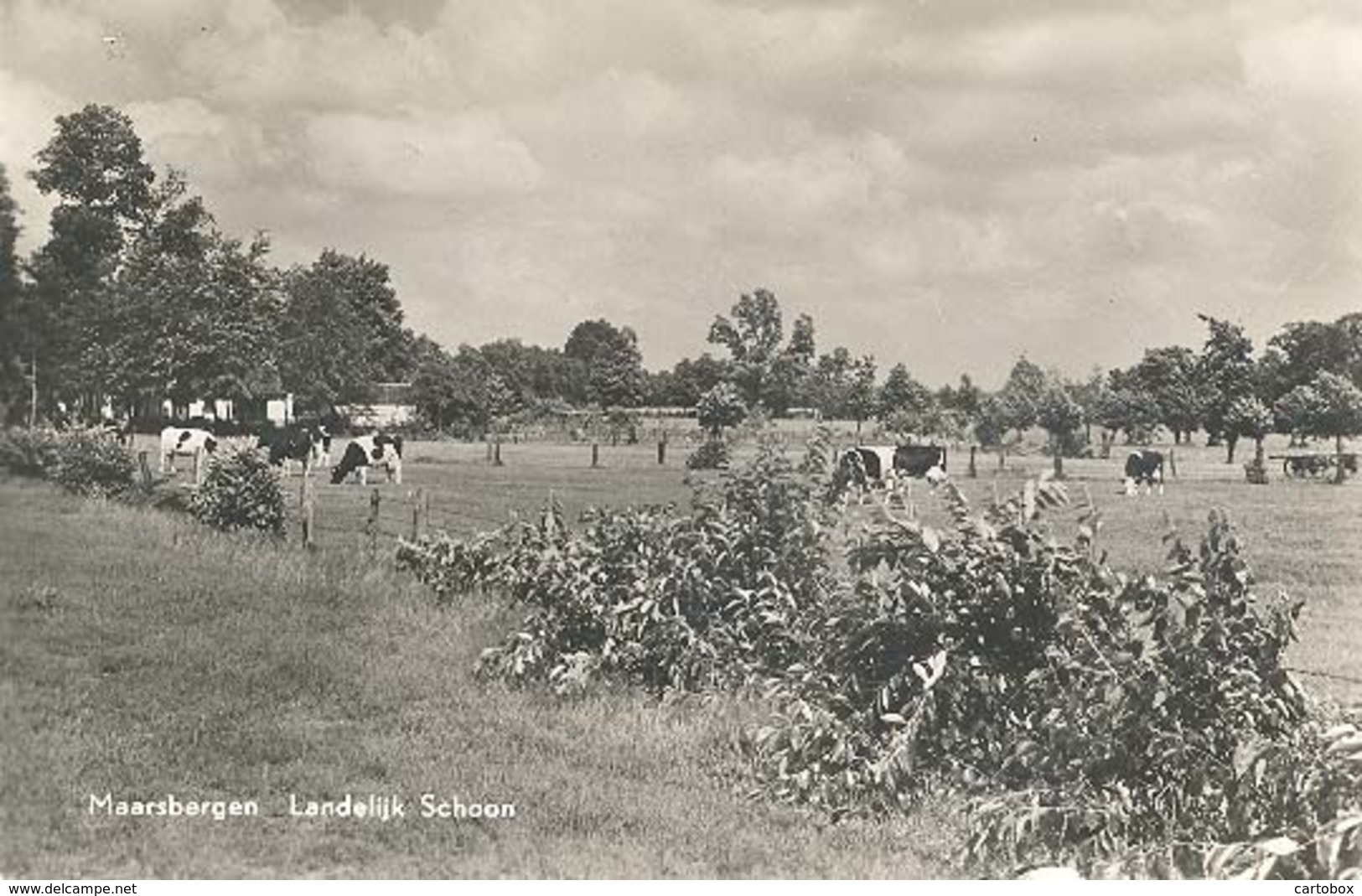 Maarsbergen, Landelijk Schoon - Maarsbergen