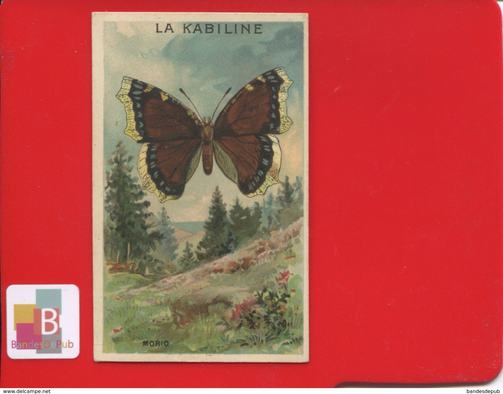 TEINTURE LA KABILINE Superbe Chromo Papillon Morio Imp Gamichon - Autres & Non Classés