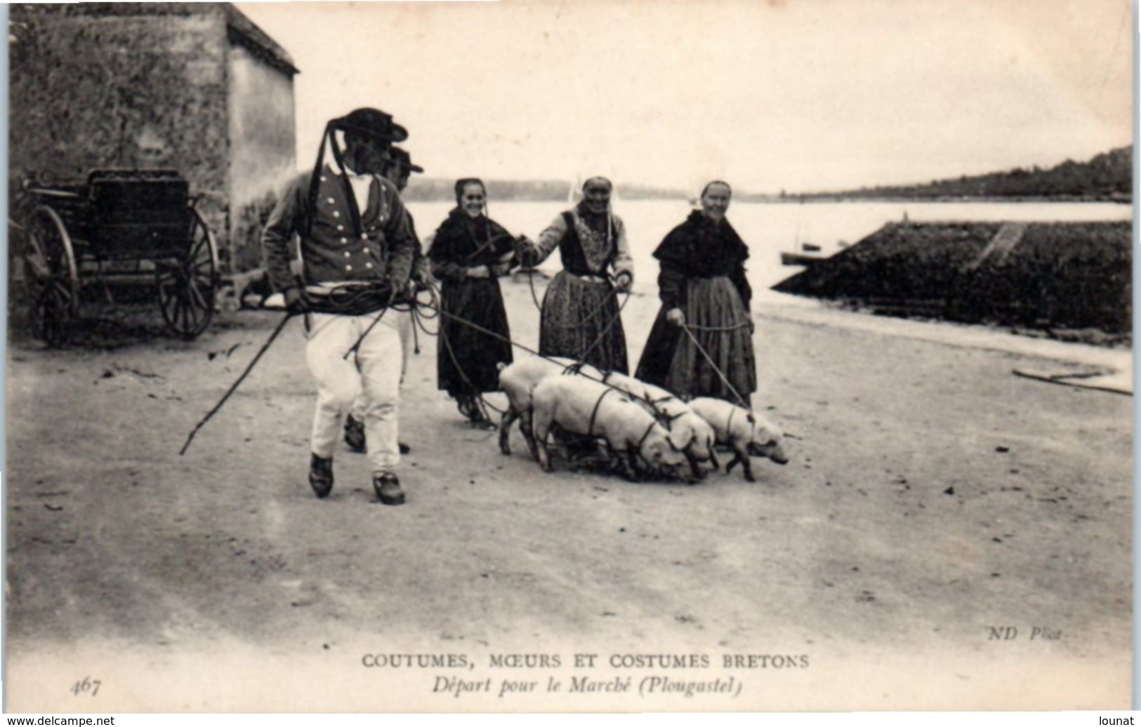 COCHON - Coutumes, Moeurs Et Costumes Bretons - Départ Pour Le Marché (Plougastel) - Cochons